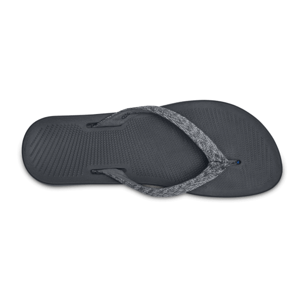 Sugar zeffers allbirds shop