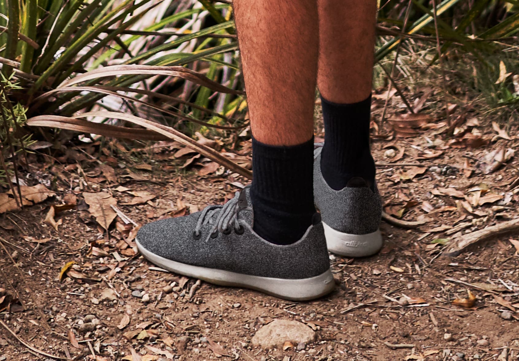 Allbirds men clearance