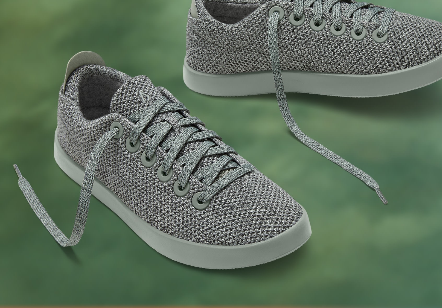 Allbirds green new arrivals