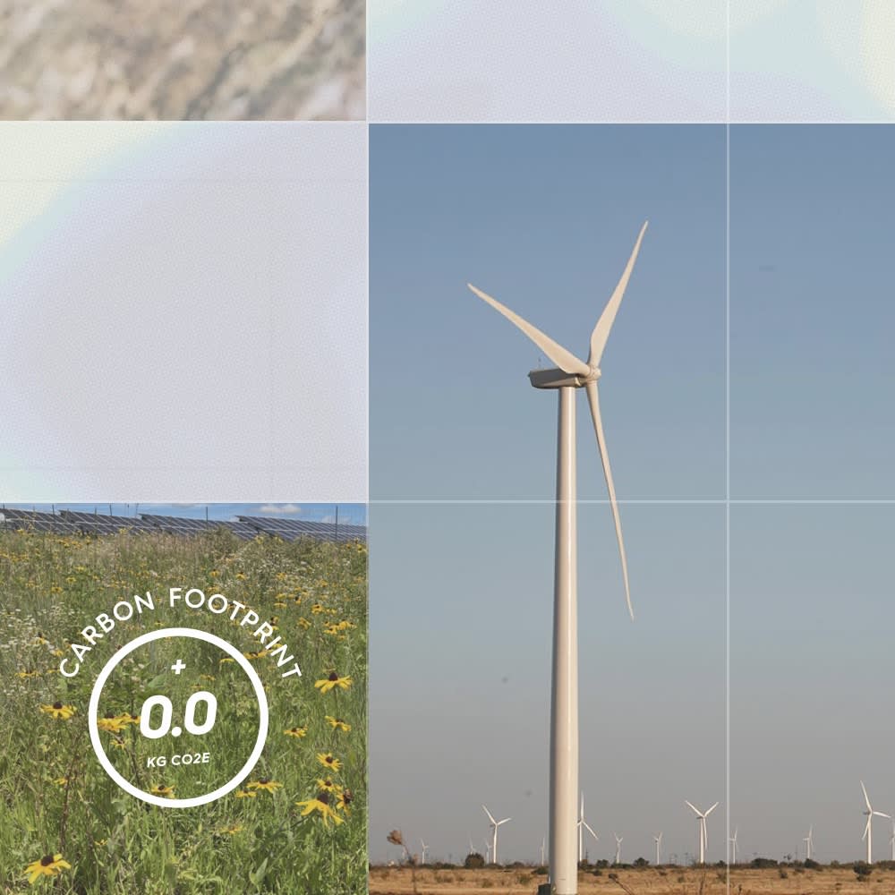 Sustainability Guide Practices Allbirds