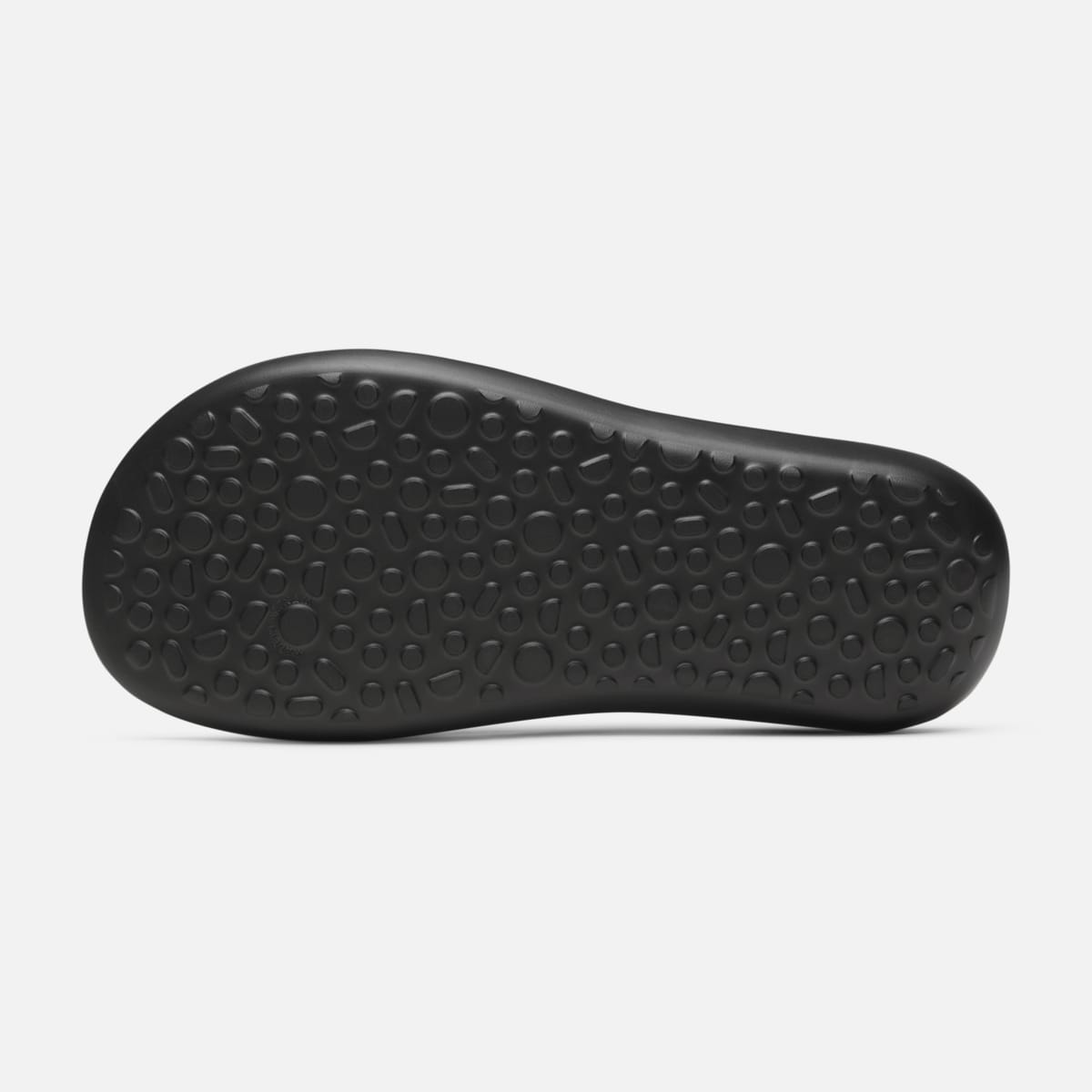 Allbirds Sugar Zeffer SHOP ONLINE