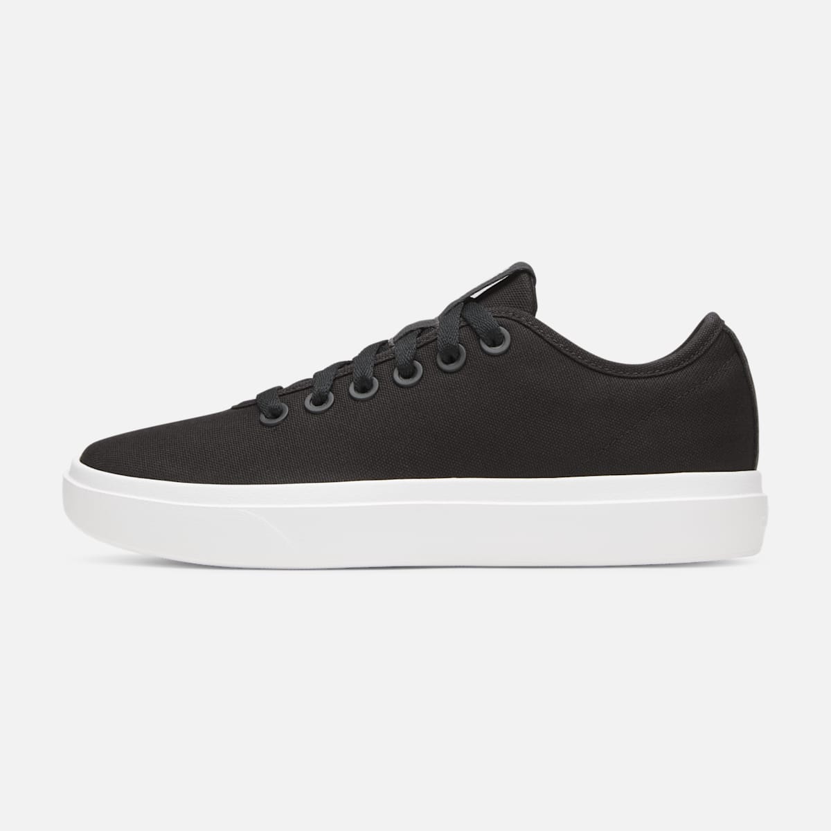 Allbirds Men's Canvas Piper WORLDWIDE DELIVERY