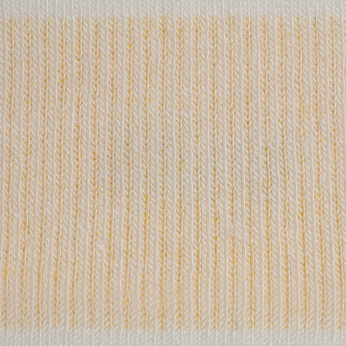 Allbirds Anytime No Show Sock GLOBAL SHIPPING