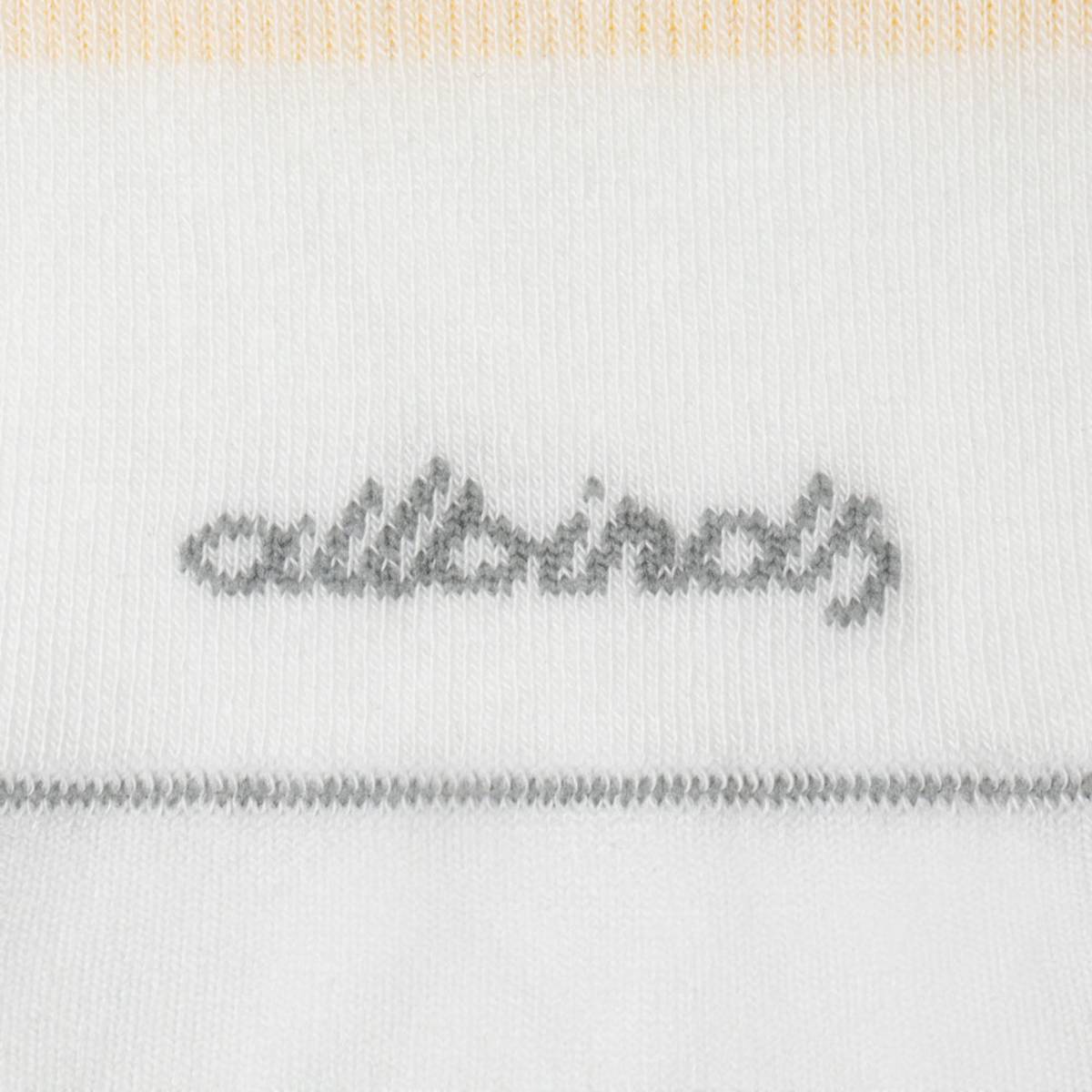 Allbirds Anytime No Show Sock HOW TO BUY
