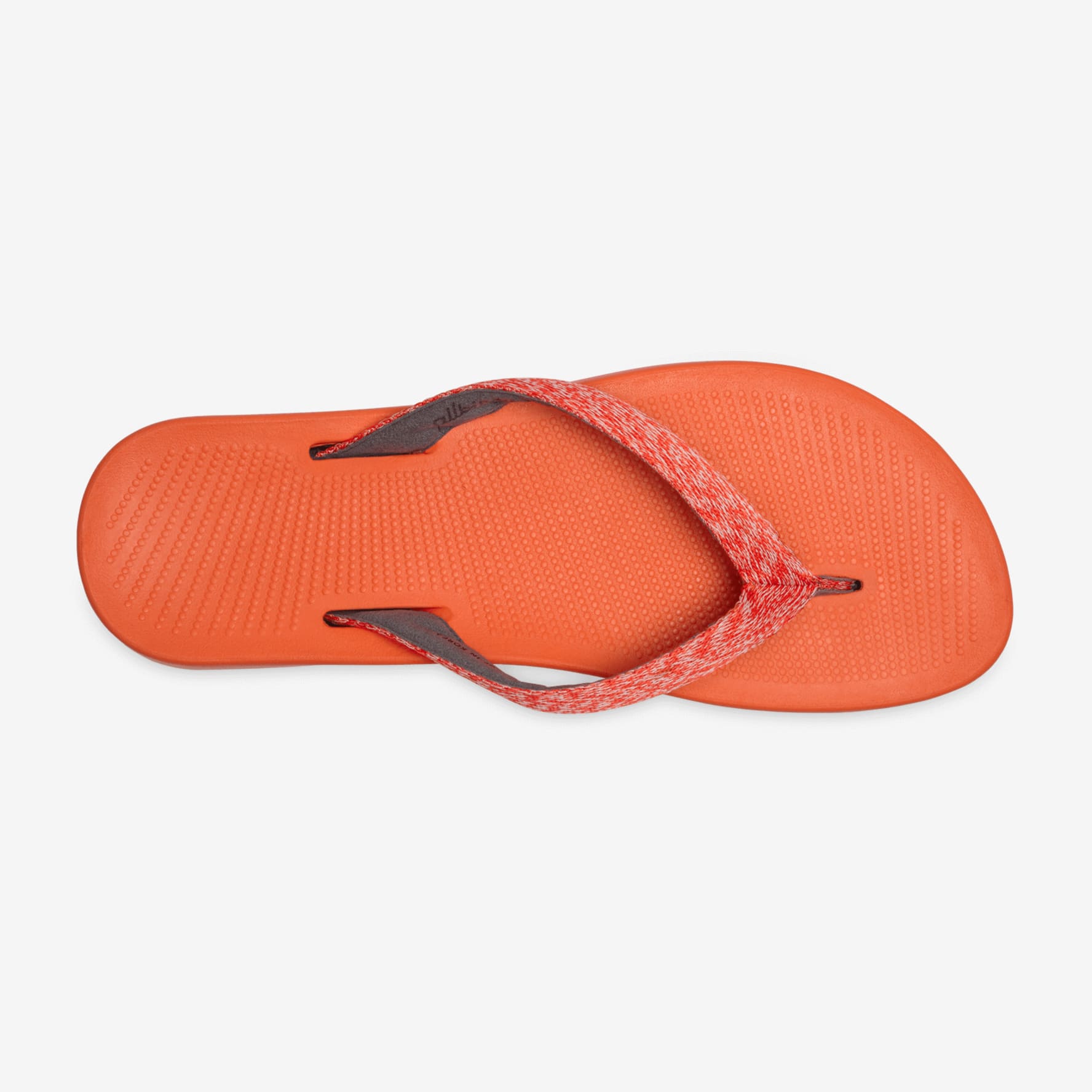 Allbirds zeffers deals