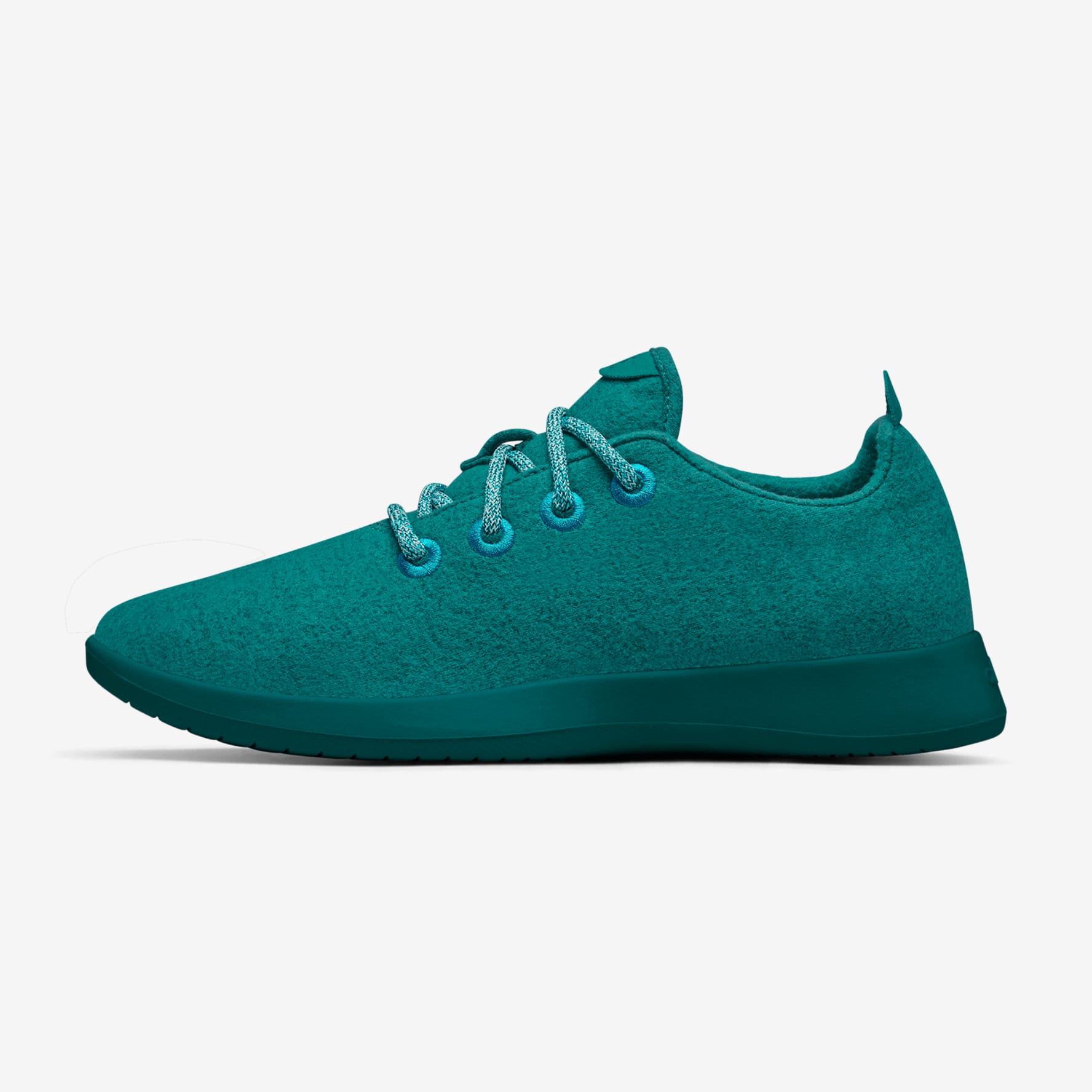 Allbirds tuke best sale