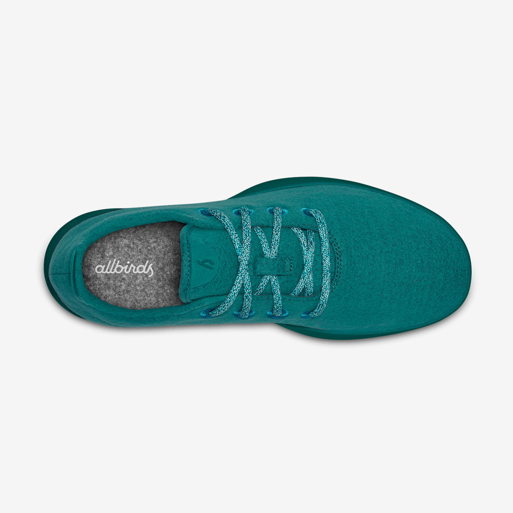 Teal allbirds outlet