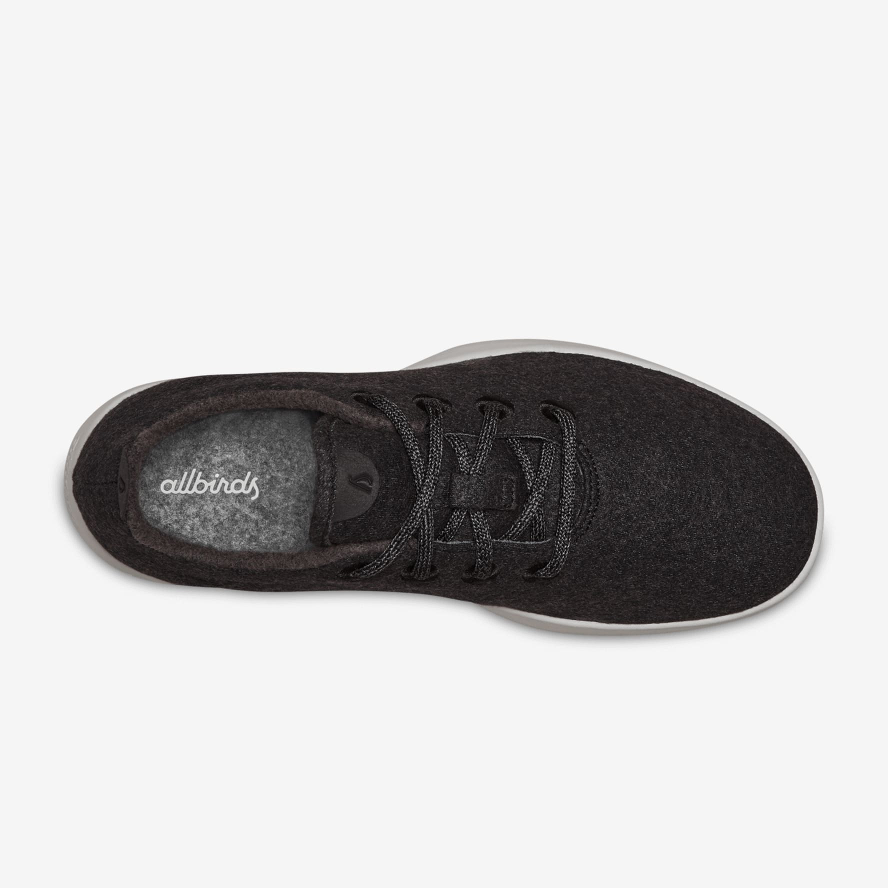 Kotare jo clearance allbirds