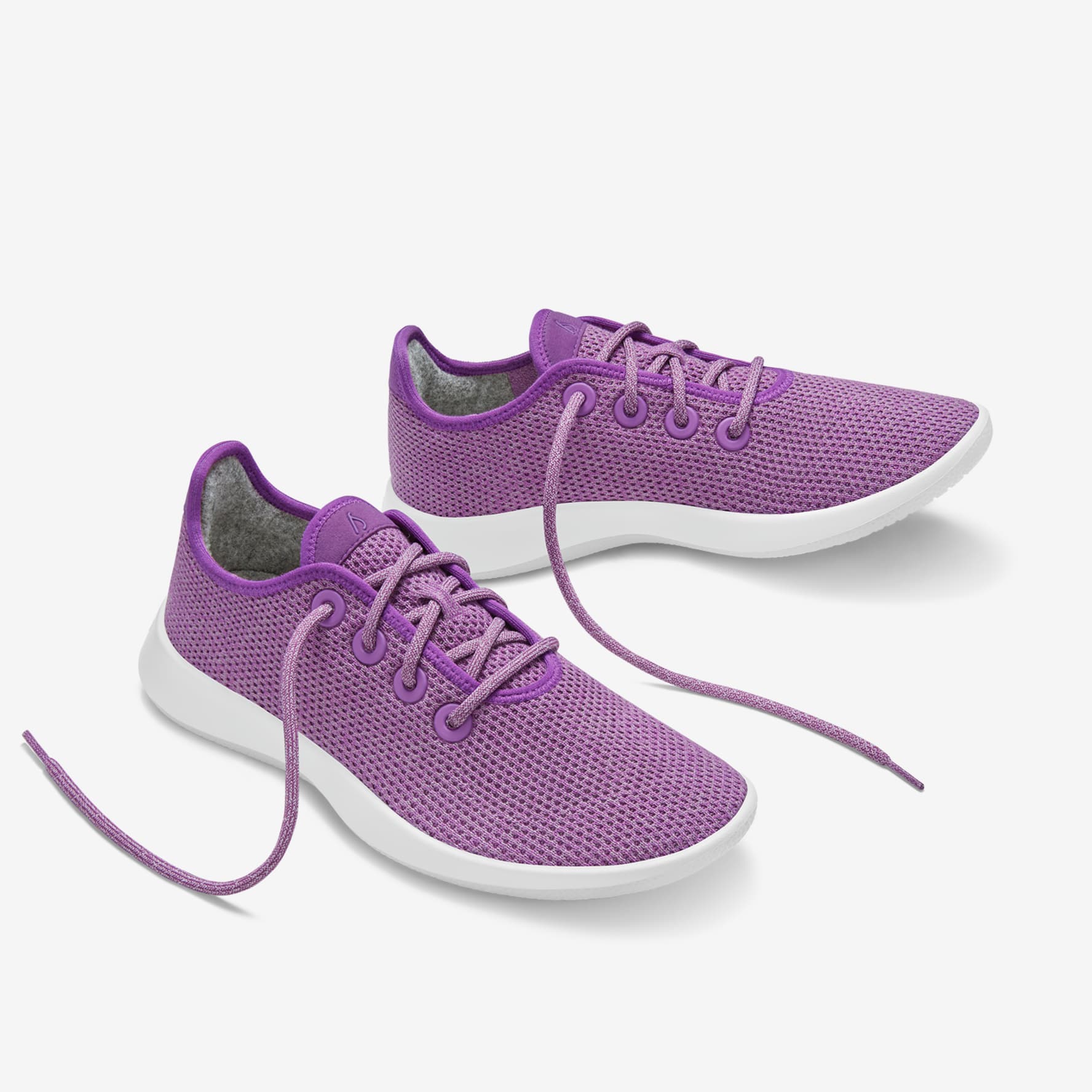 Allbirds purple sales