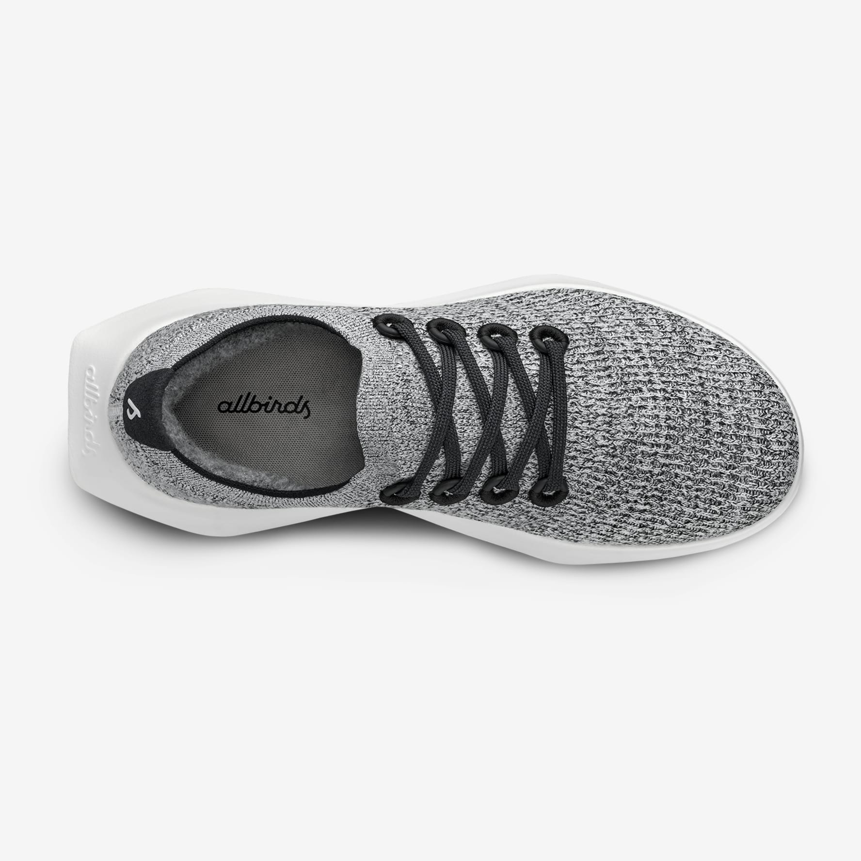 Allbirds dasher online