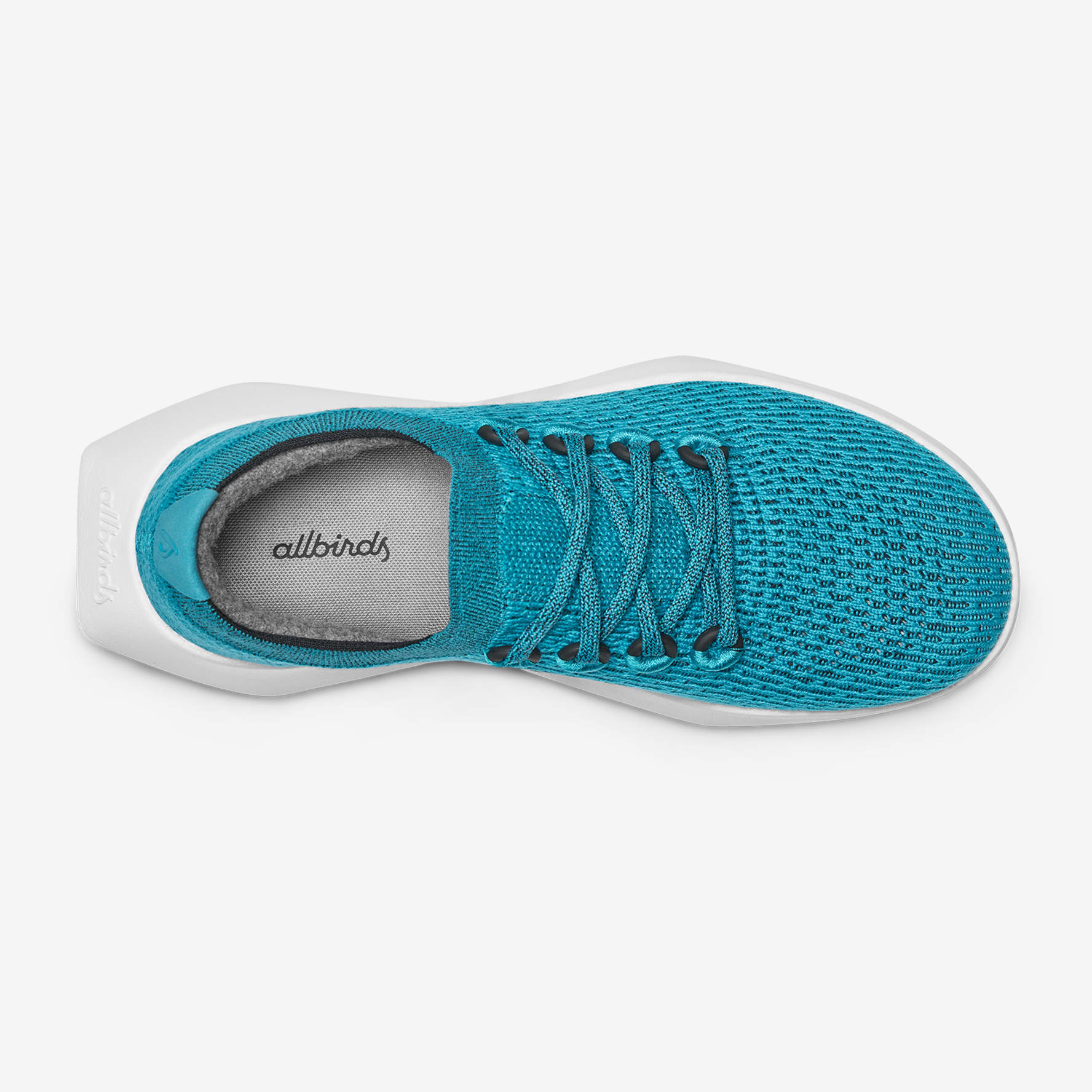 Teal allbirds shop