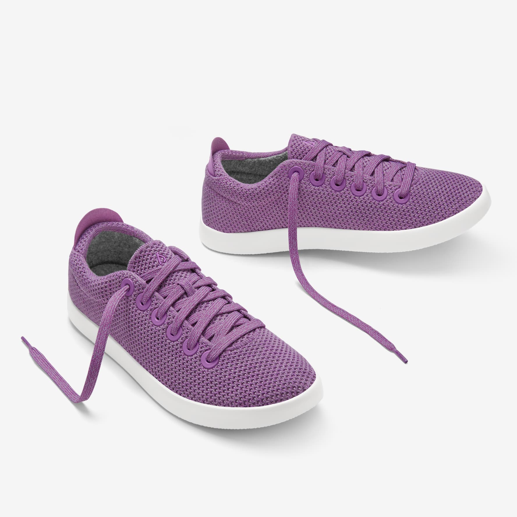 Lavender allbirds online