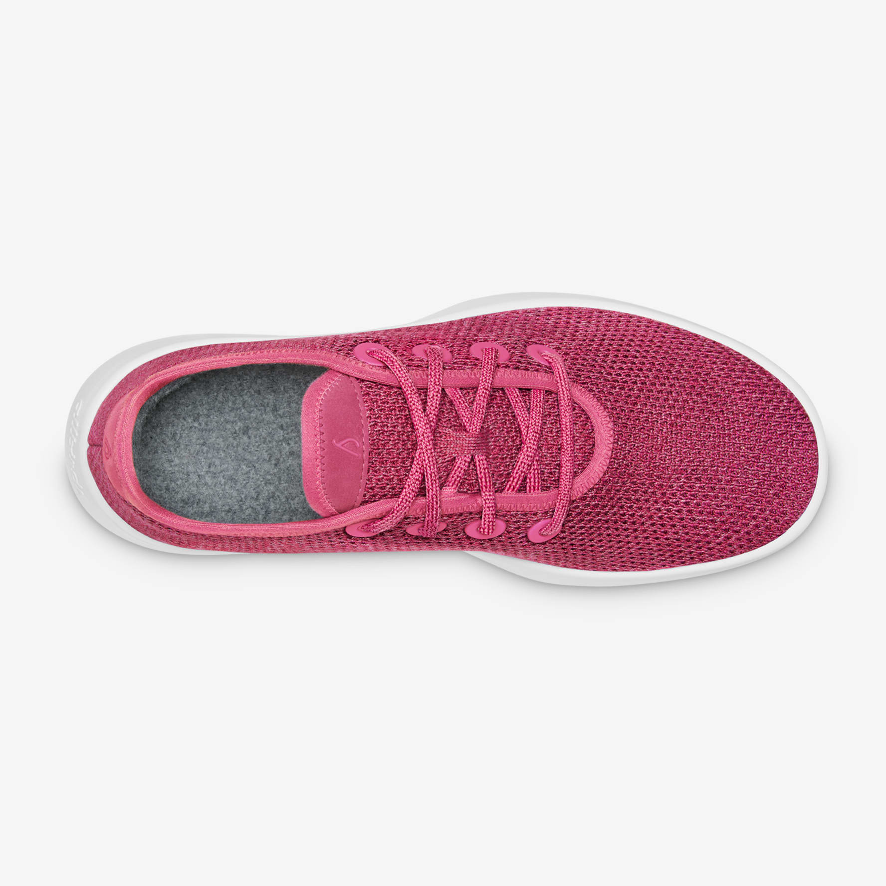 Men's tree 2025 runners allbirds