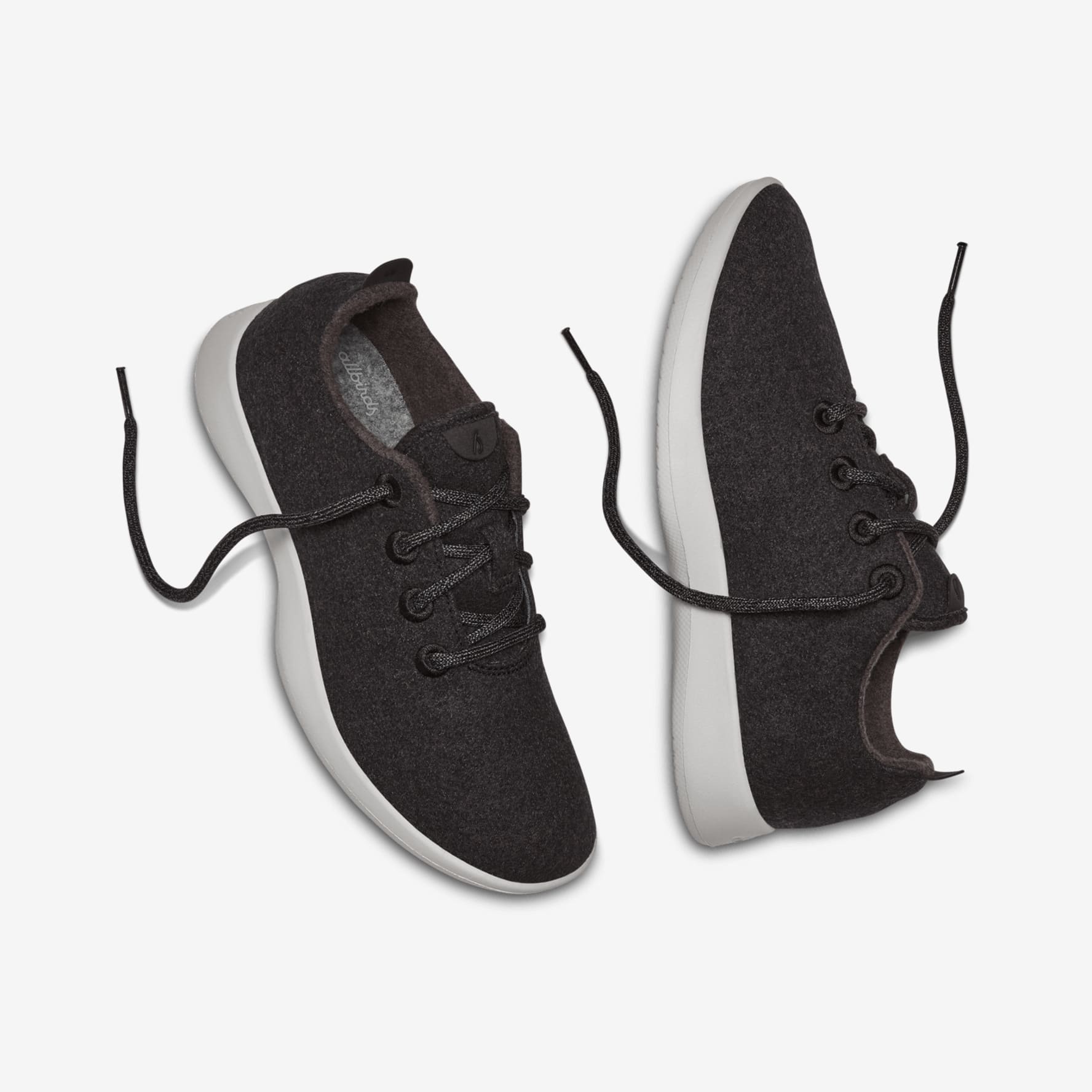 Allbirds kotare outlet