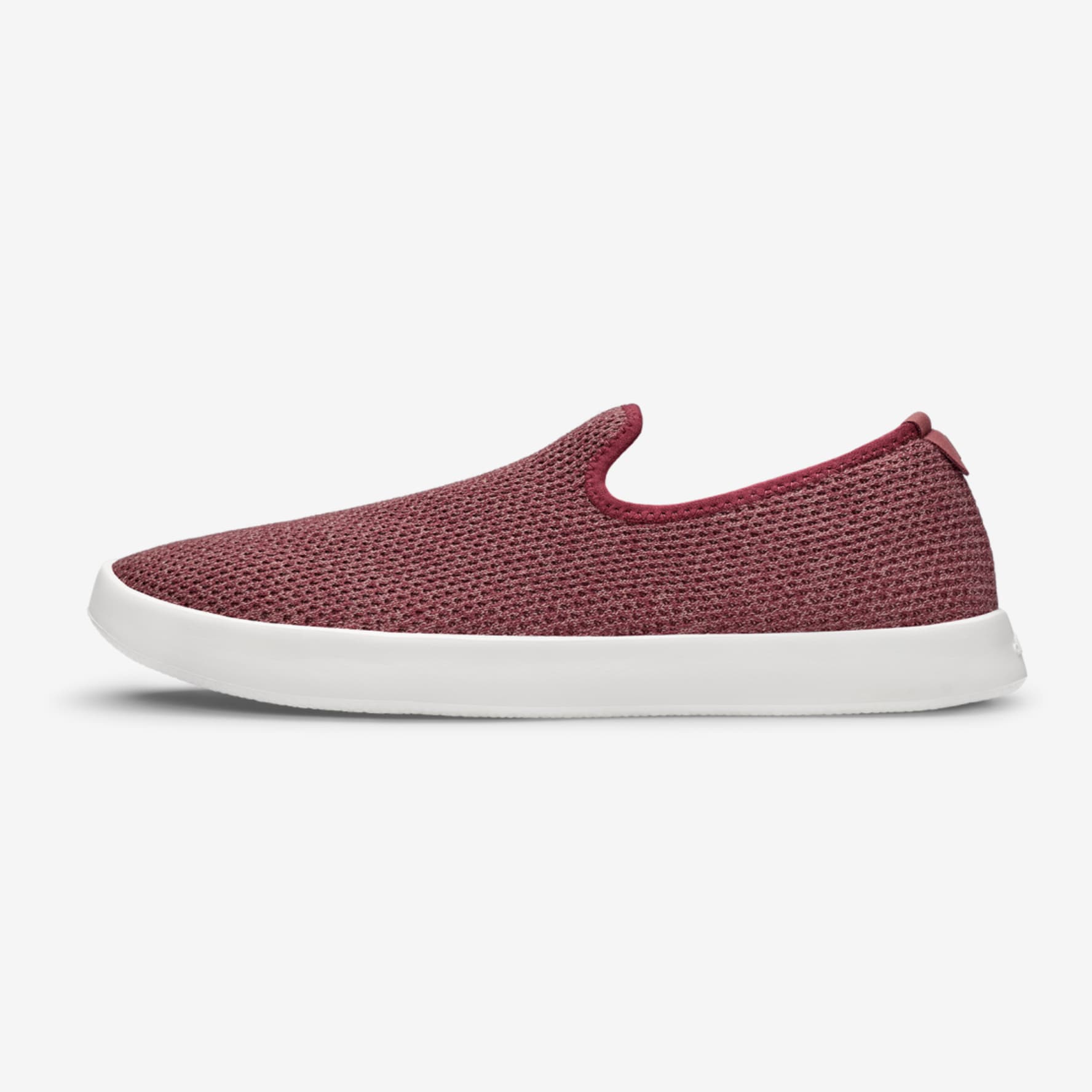 Allbirds tree lounger store