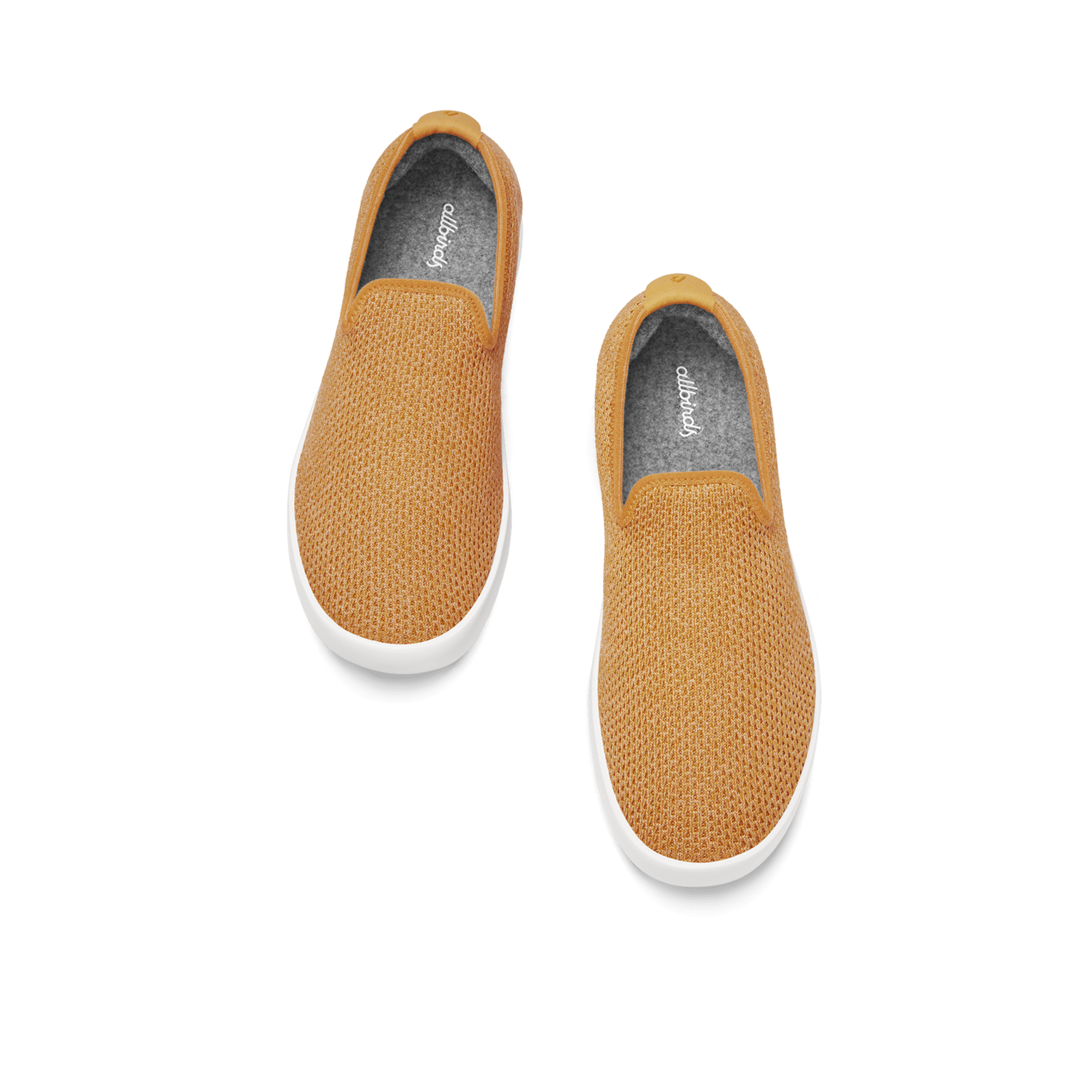Allbirds mesh store