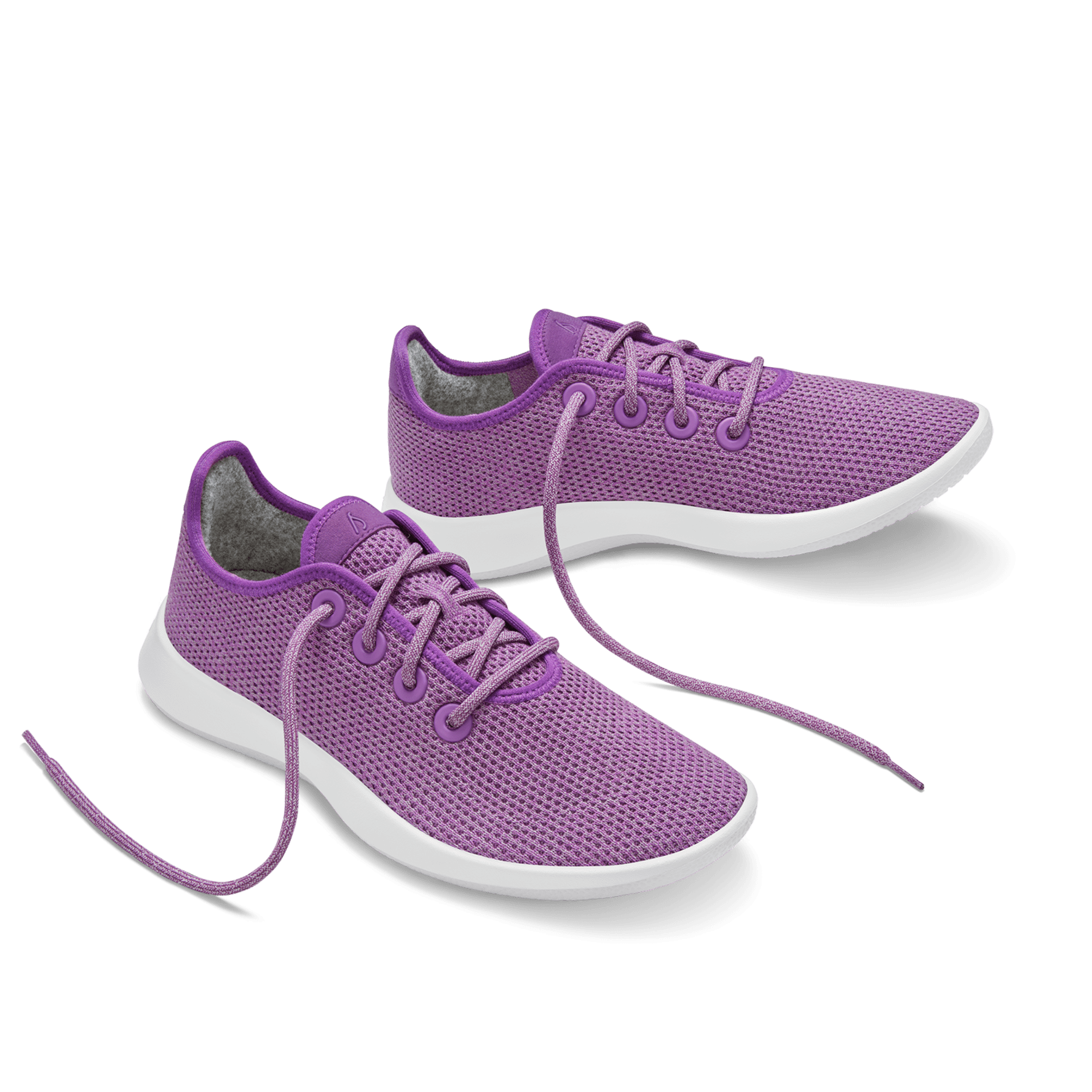 Allbirds women's tree best sale sneakers