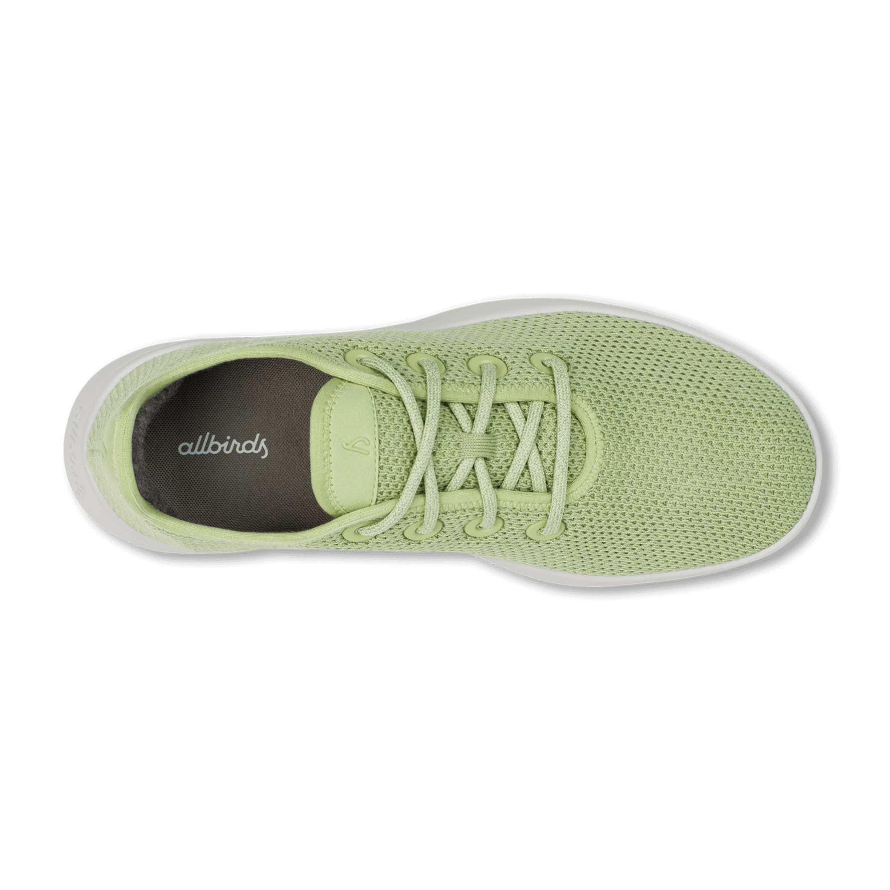 Allbirds women's tree best sale sneakers