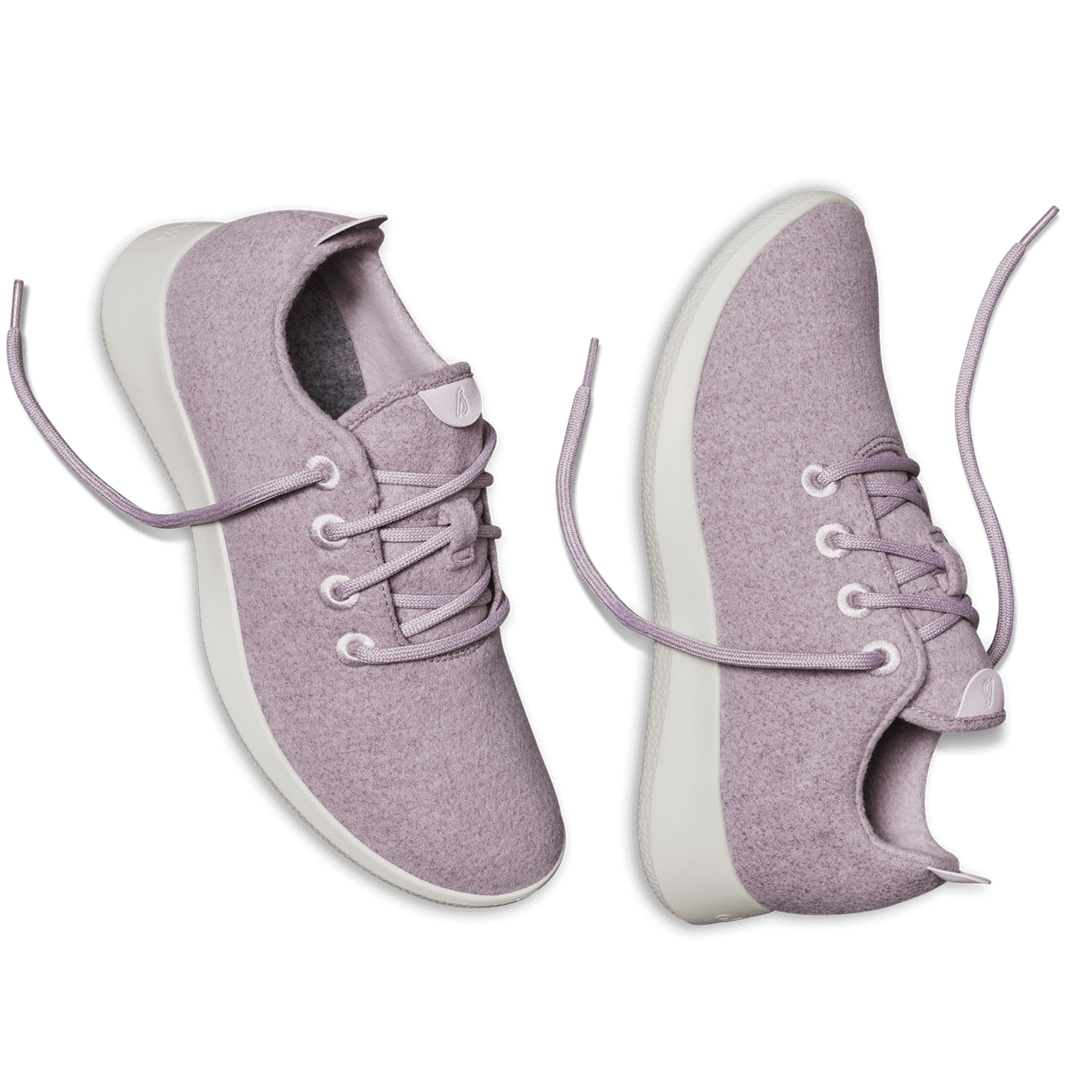 Allbirds cream cheap