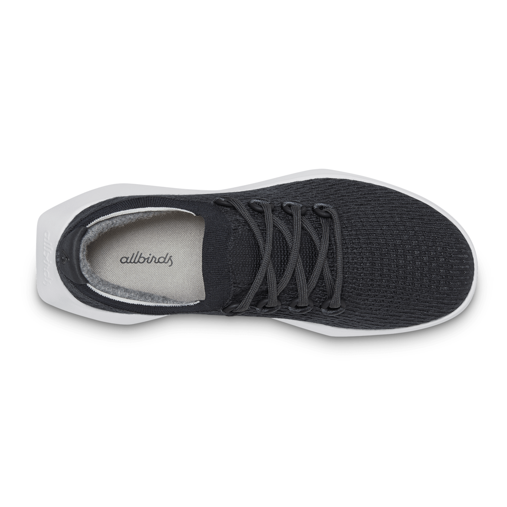 Allbirds dasher shop