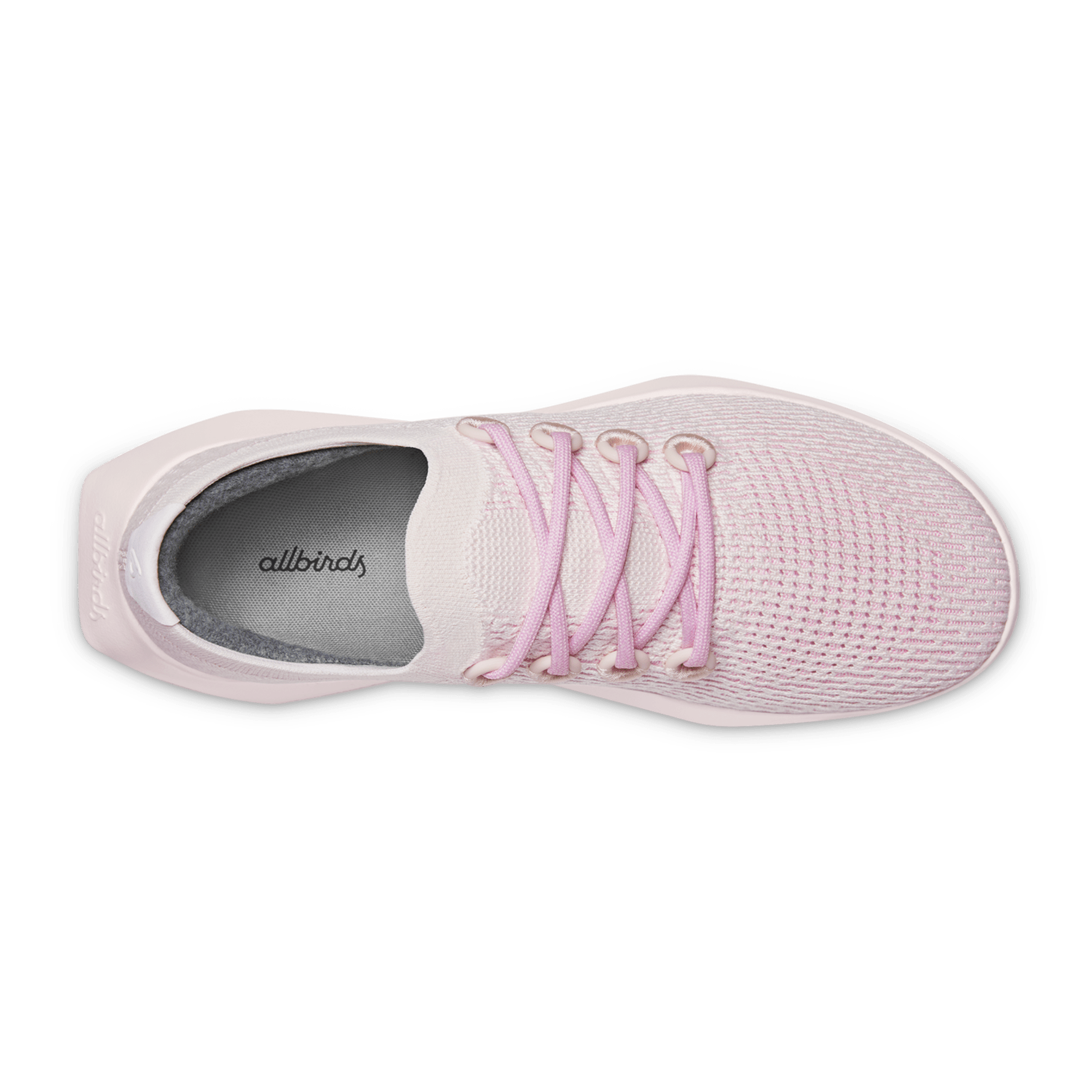 Allbirds dasher online