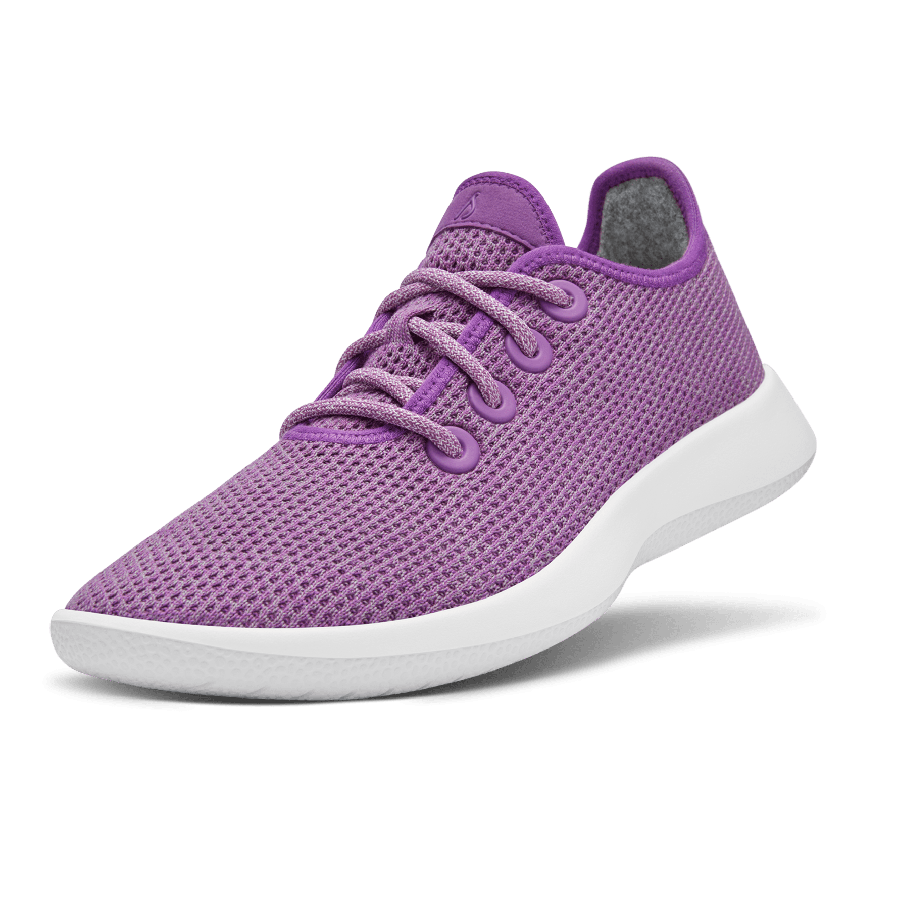 Allbirds purple sales