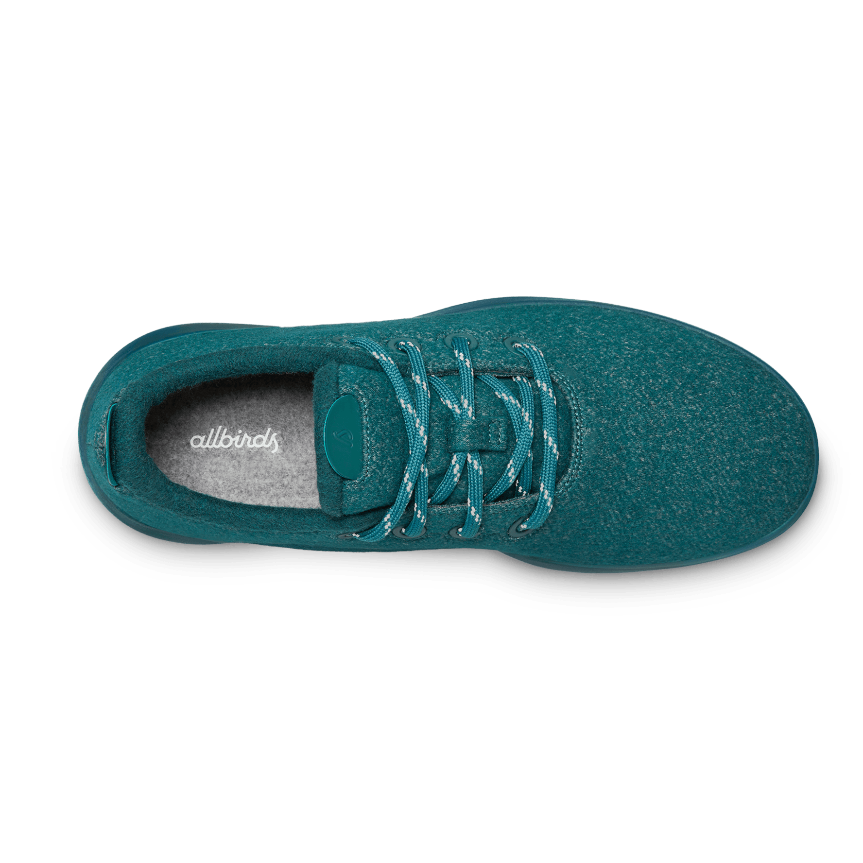 Allbirds tuke teal online
