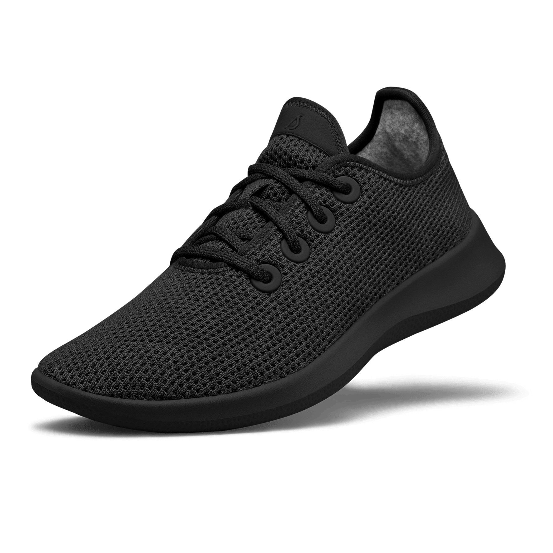 Birds trainers sale
