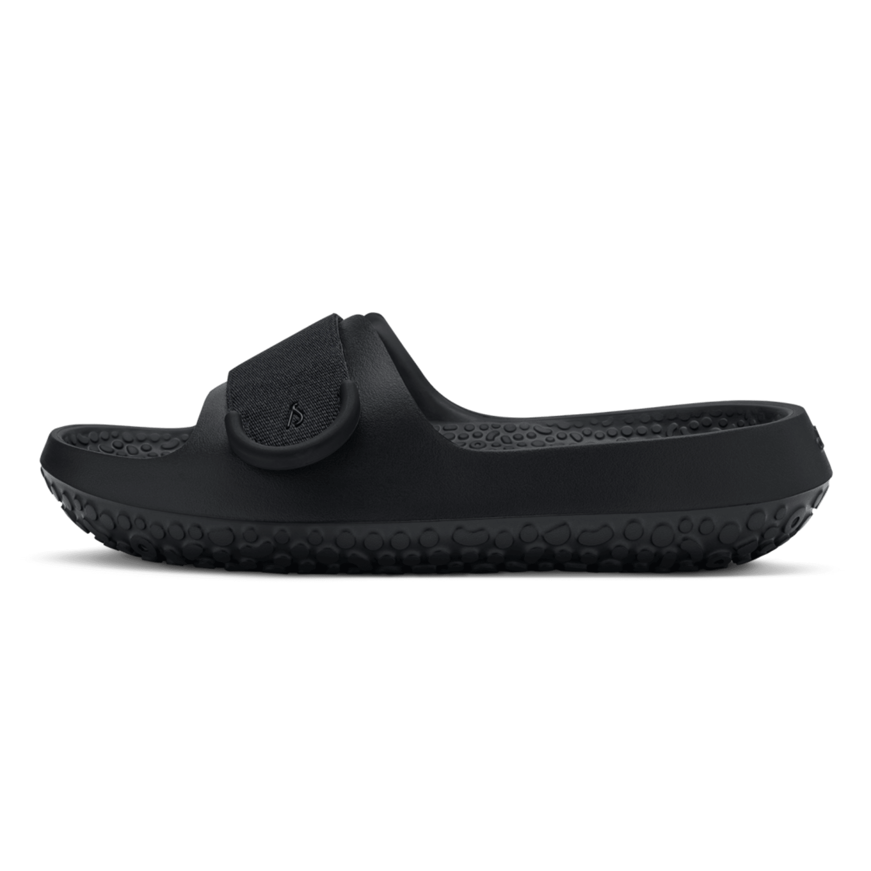 Allbirds jandals new arrivals