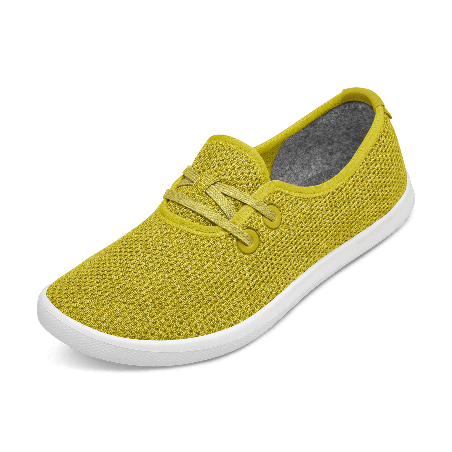 Allbirds kauri coffee discount