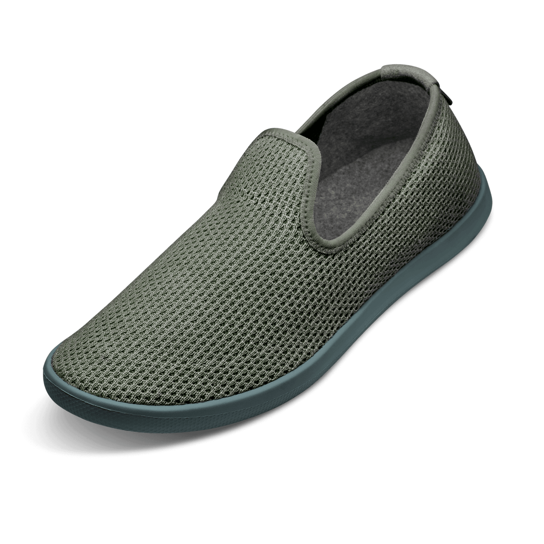 Allbirds kauri stone store
