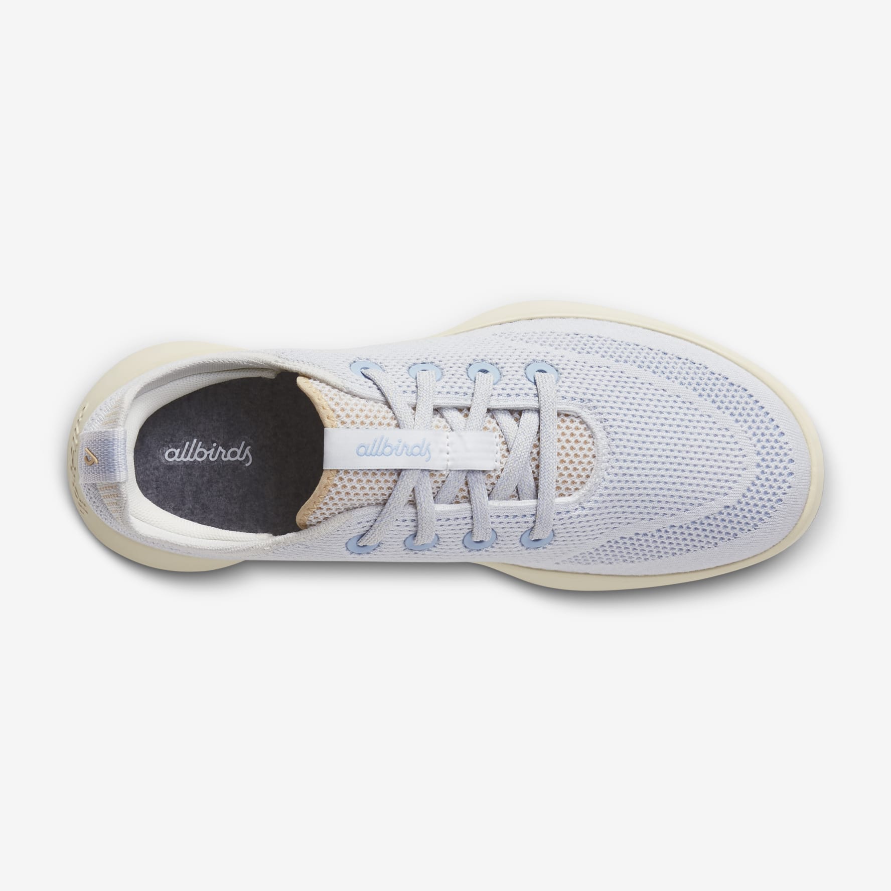 Allbirds tree runners blue top