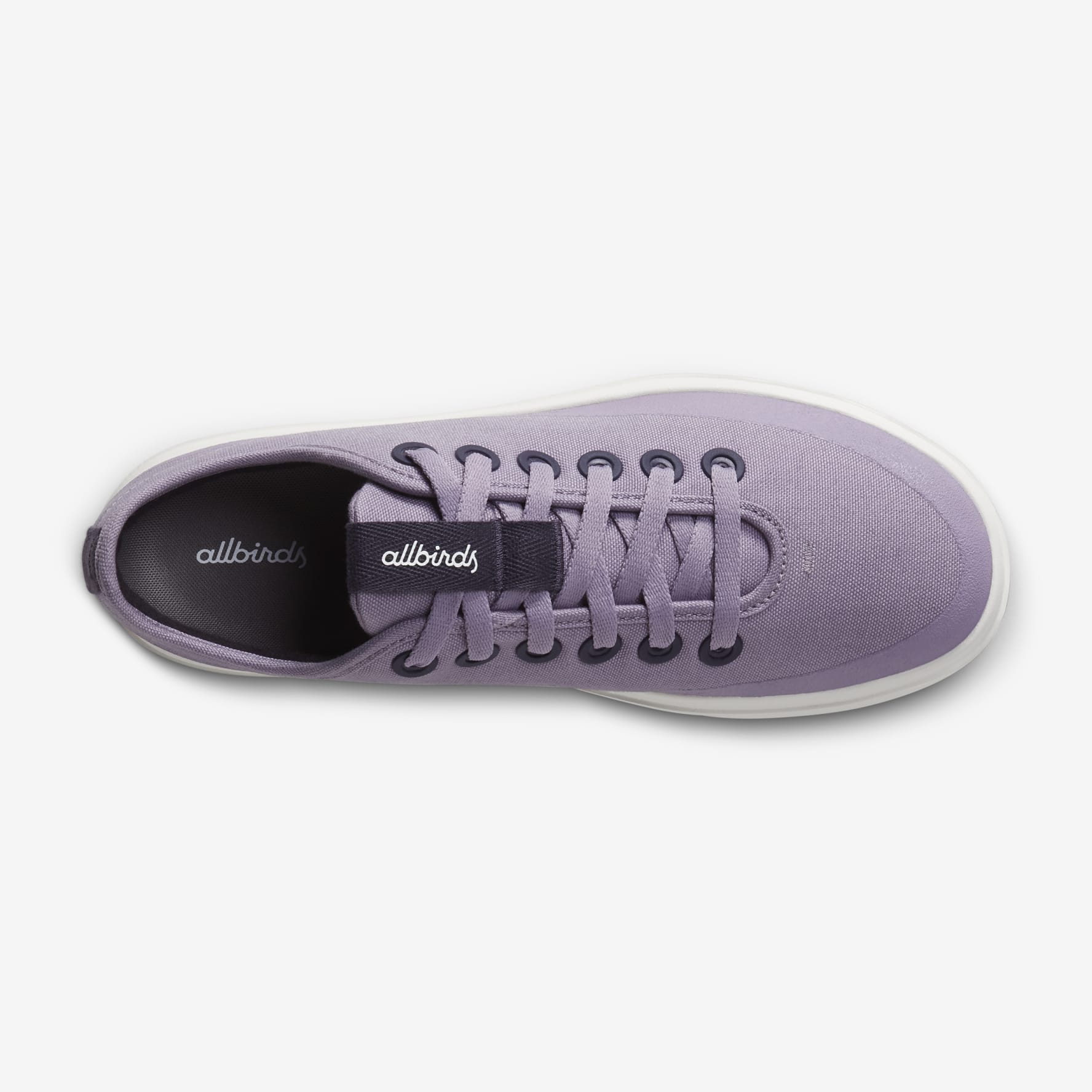 Allbirds lavender on sale