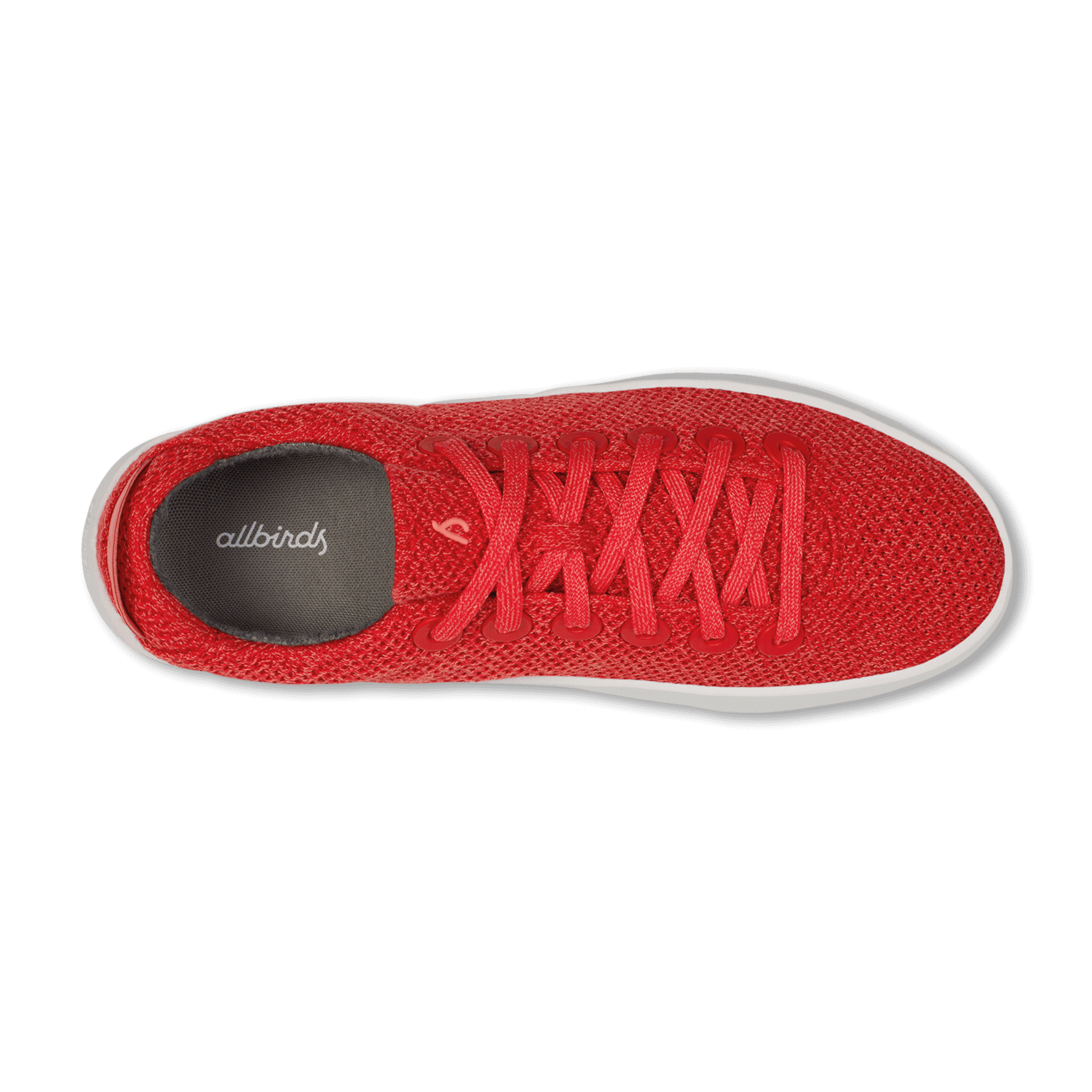 Tree Pipers for Women Everyday Sneakers Allbirds