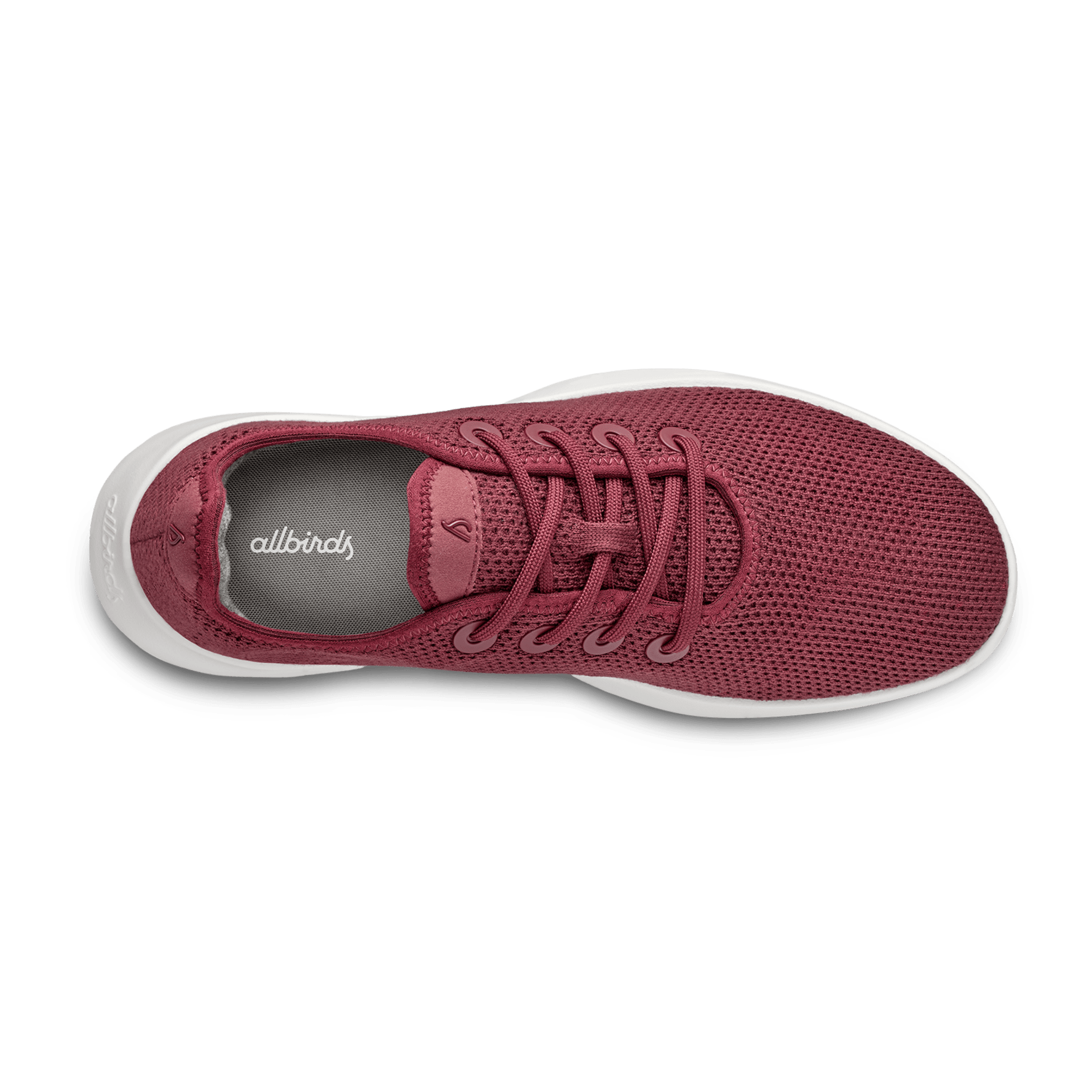 Men's tree 2025 runners allbirds