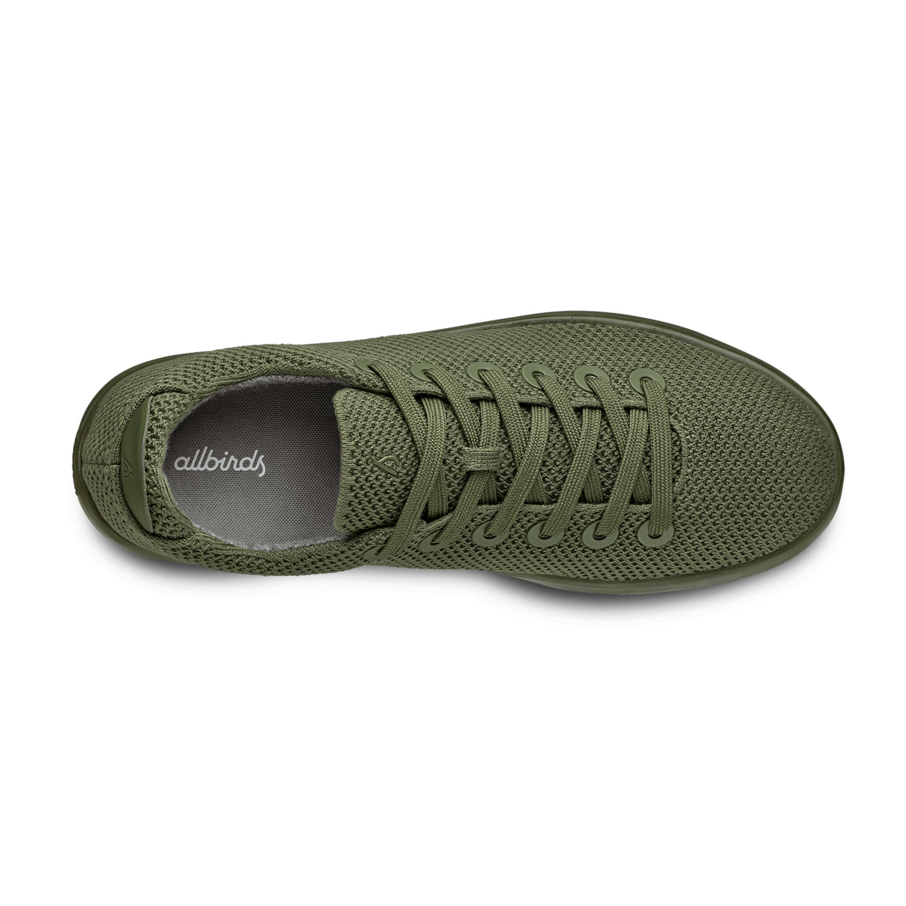Allbirds Men's Tree Pipers Sneakers Hazy Pine Olive Green Limited