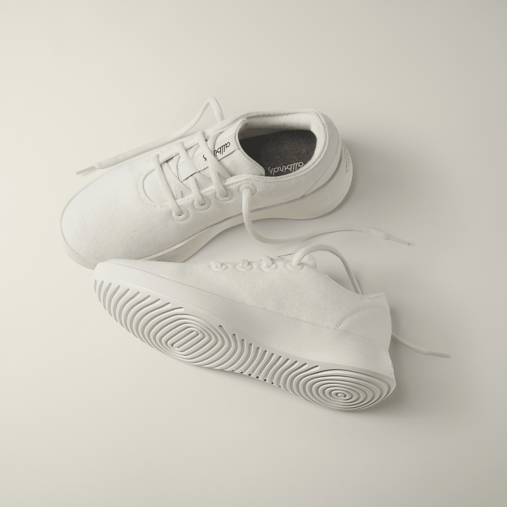 White allbirds discount