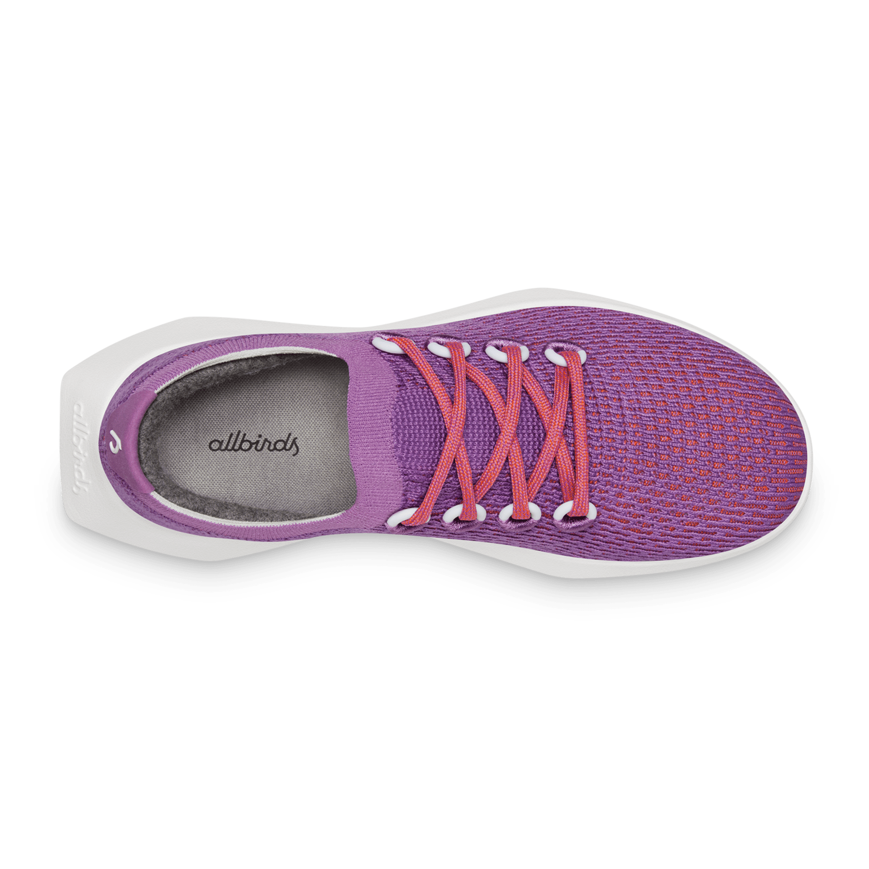 Purple allbirds clearance