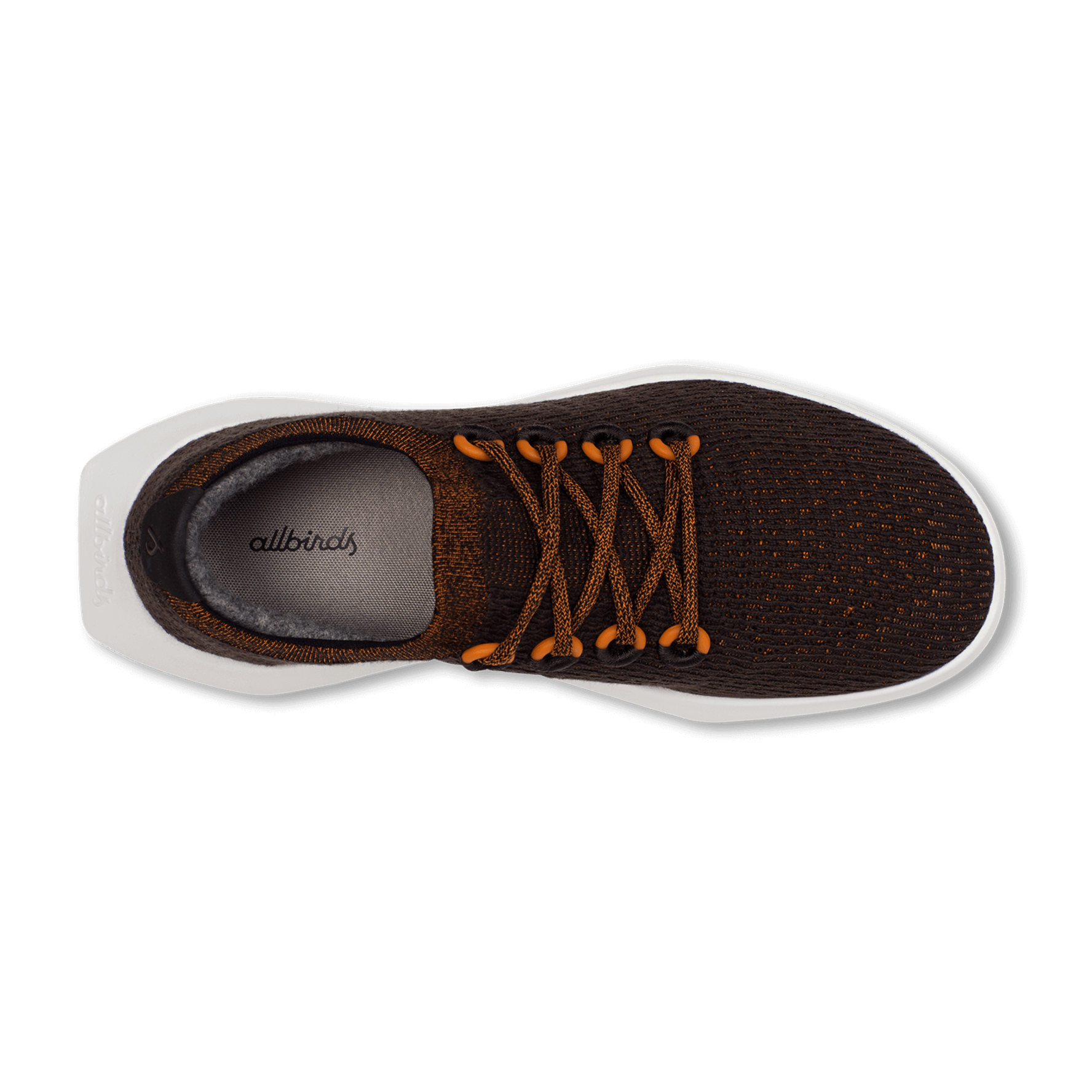 Planet 2025 shoes bird