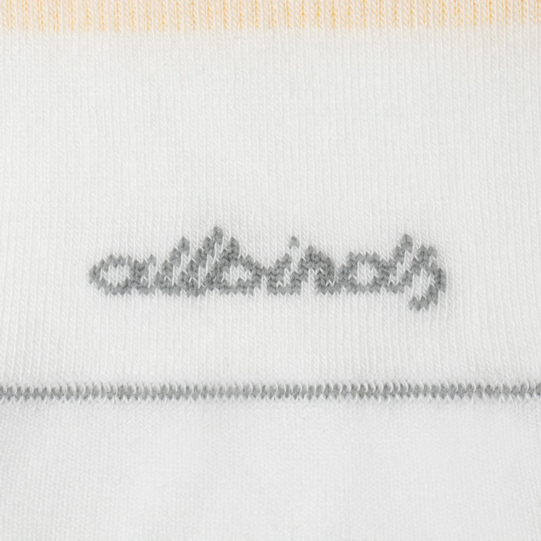 Allbirds no socks shop