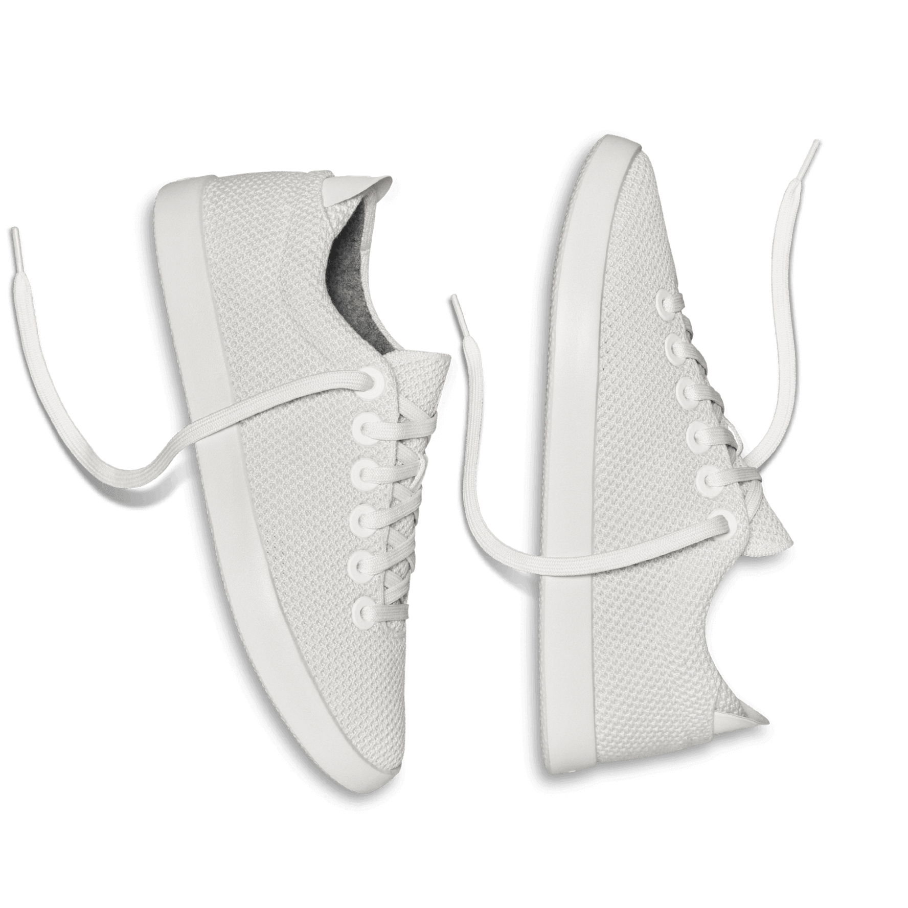 Allbirds white shoes online