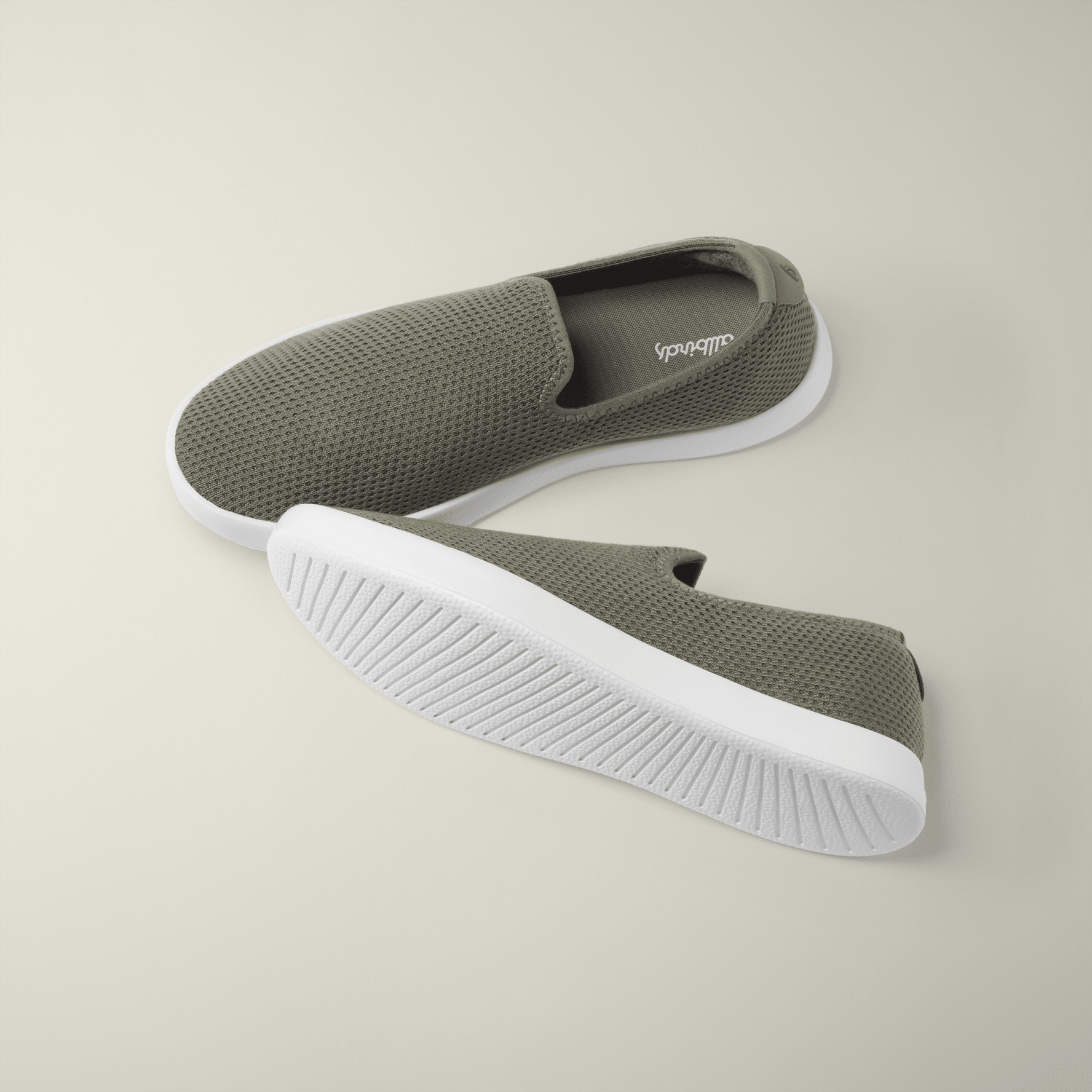 Tree loungers allbirds 2025