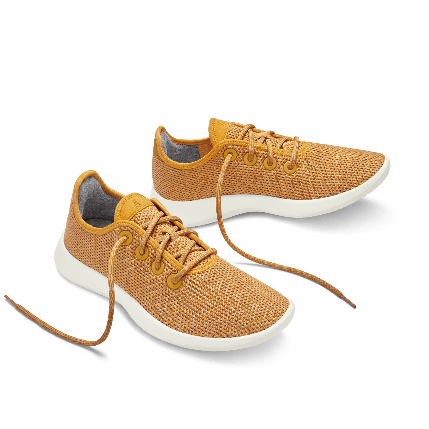 Allbirds de store