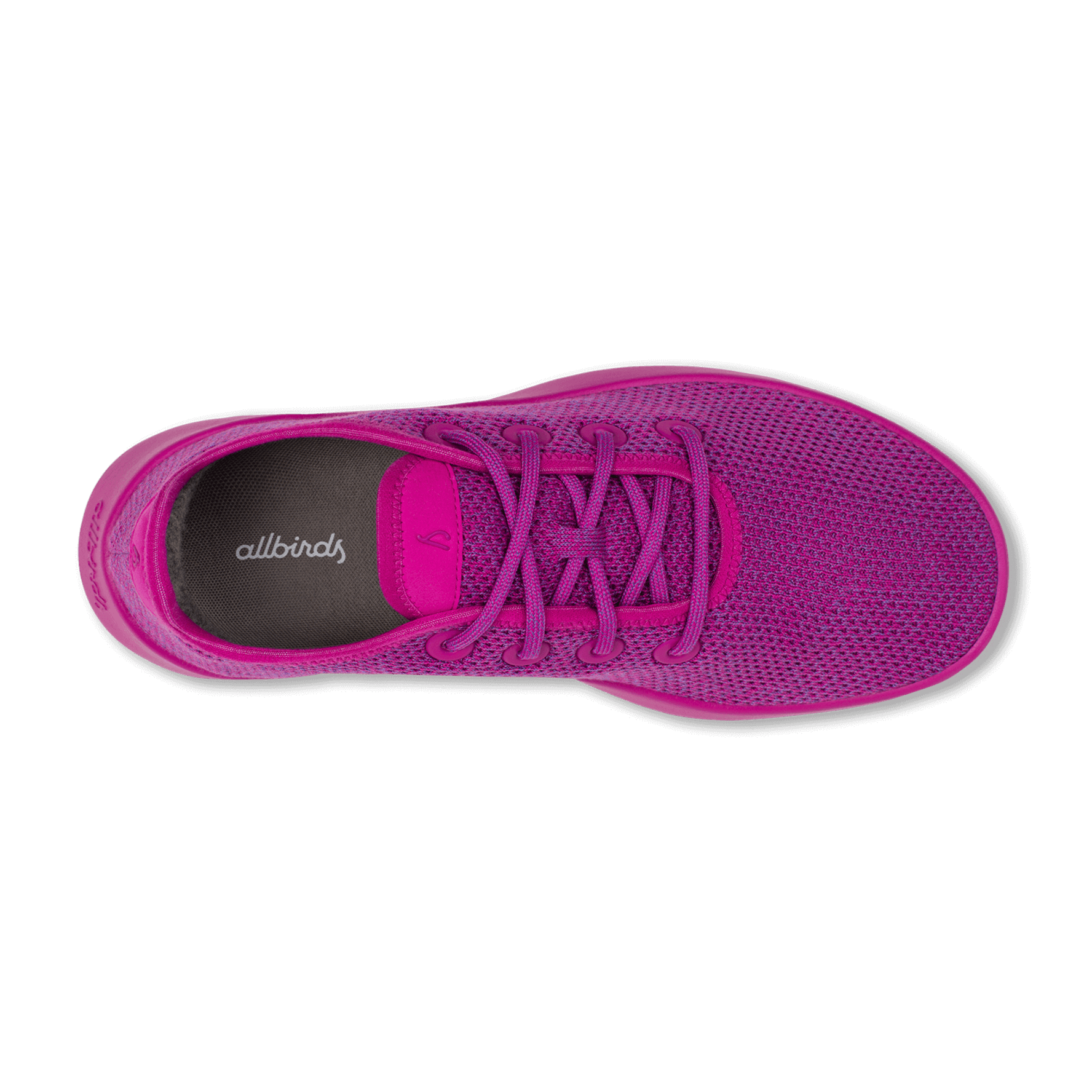Allbirds lavender clearance
