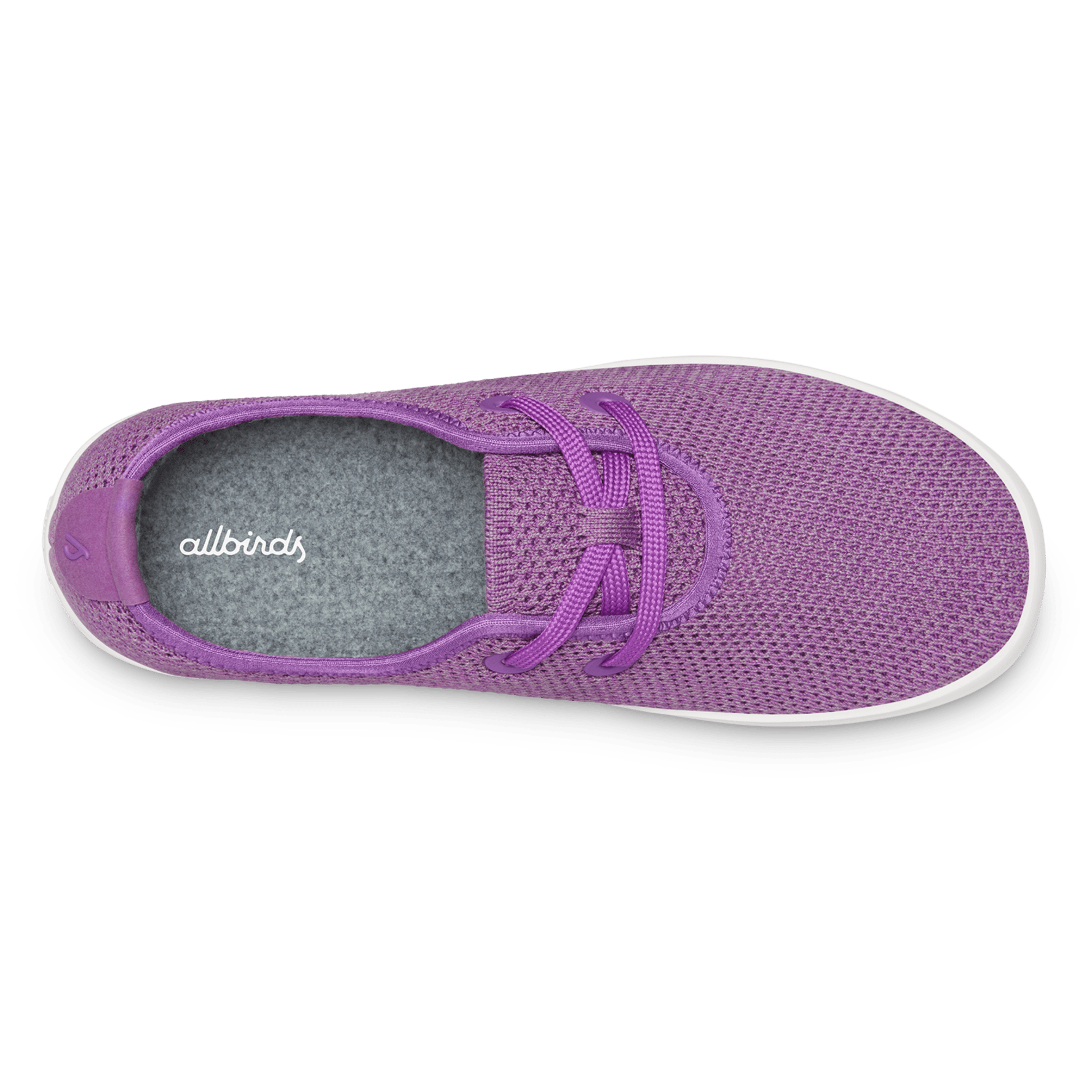 Lavender allbirds shop