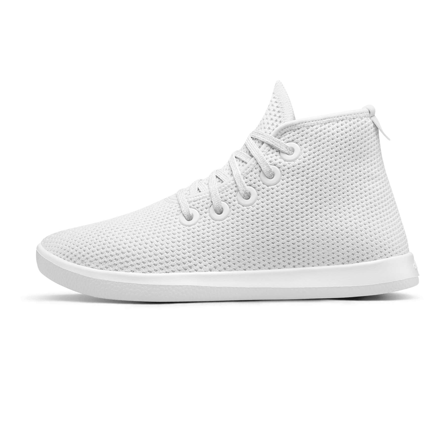 Allbirds hightops online
