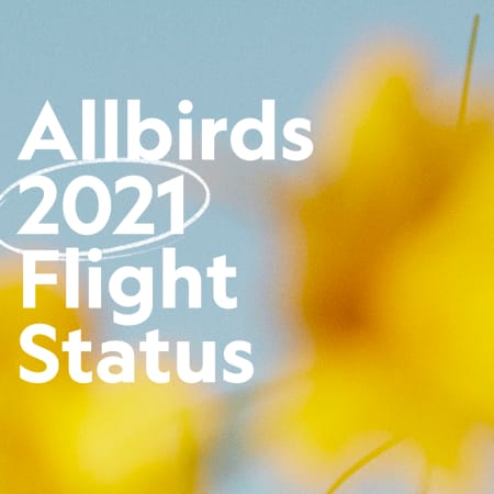 allbirds sustainability report