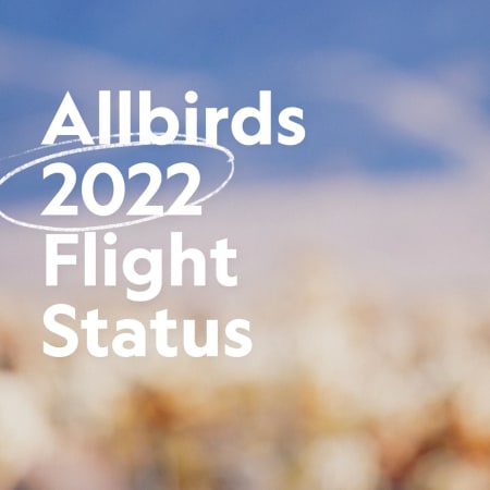 allbirds sustainability report