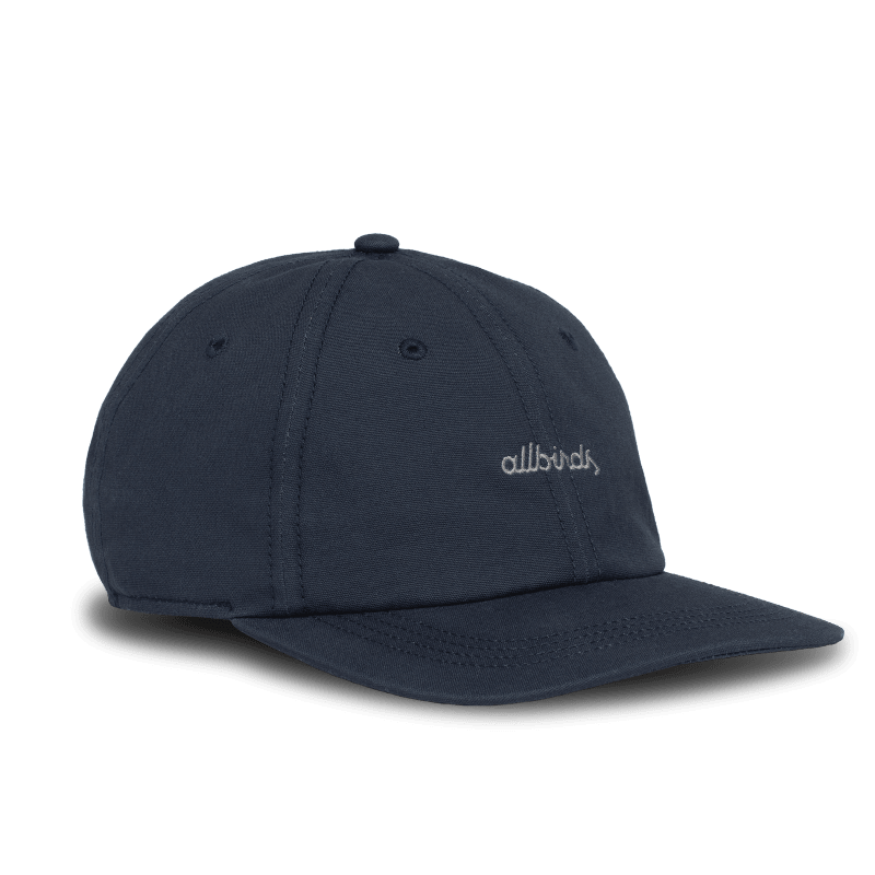 Allbirds best sale lace kit