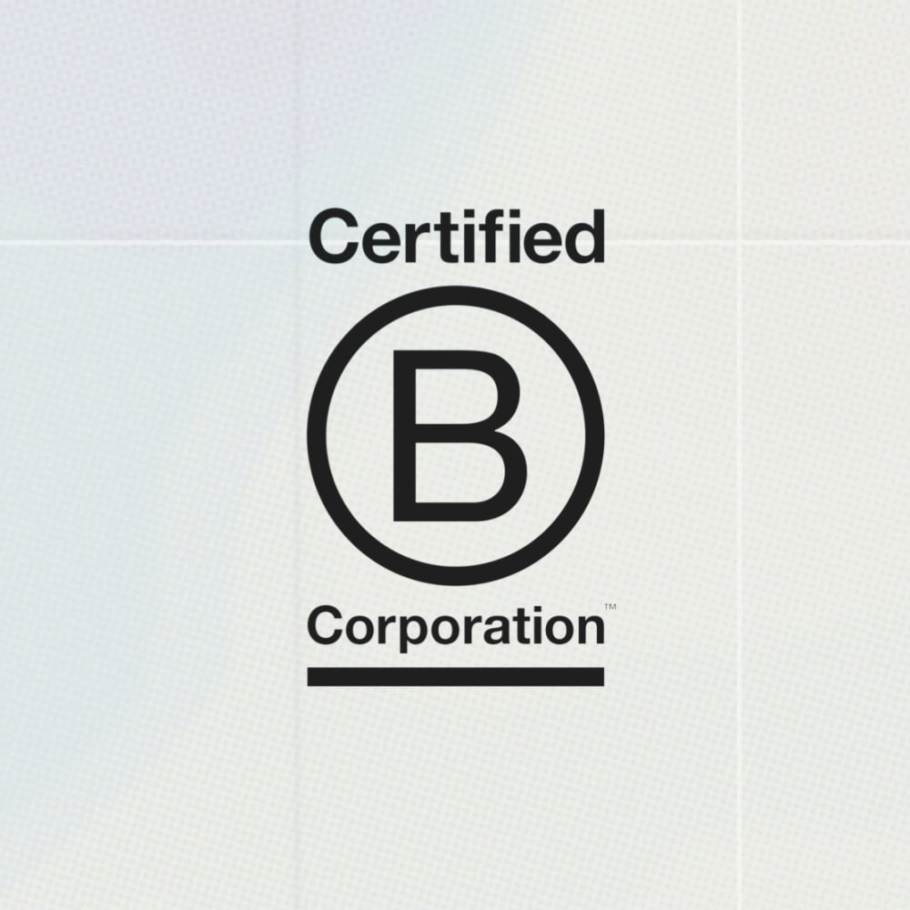 Allbirds deals b corp
